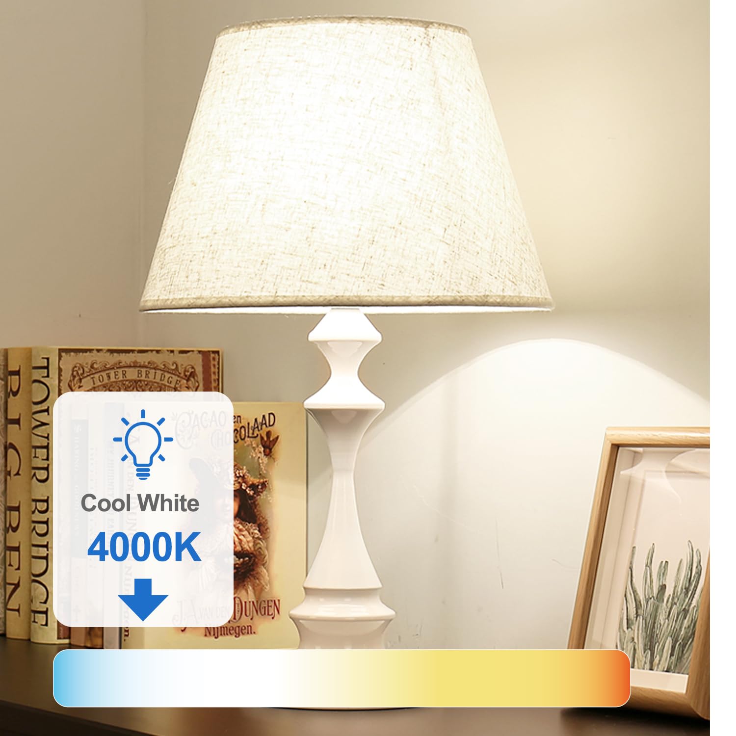 Tjoy 24 Pack A19 Led Light Bulbs, 60 Watt Equivalent, Efficient 9W, Cool White 4000K, E26 Standard Base, Neutral White Light Bul