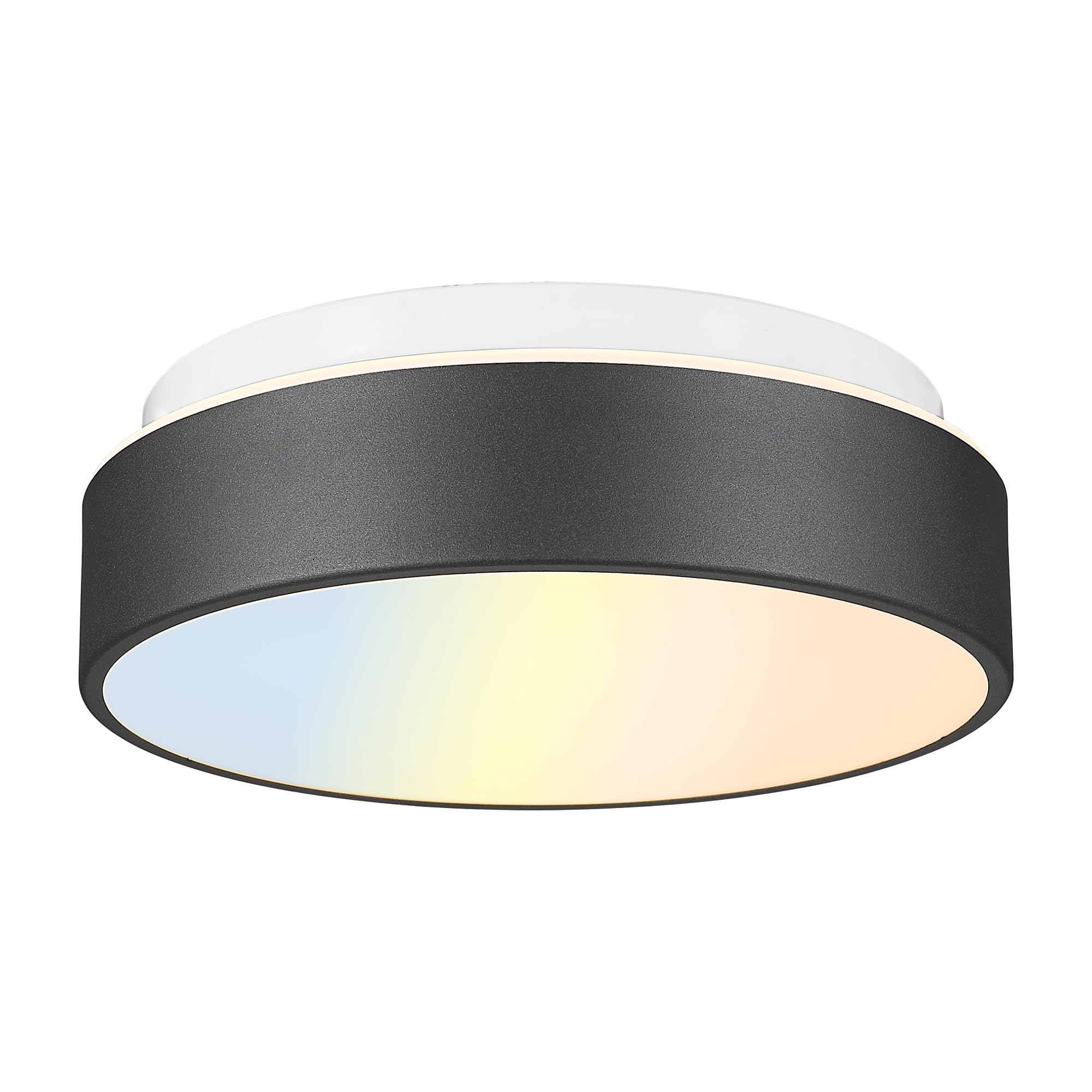 Autelo Flush Mount Ceiling Light-Black Ceiling Light Fixture - 12Inch Led Close To Celing Lights With Frosted Glass Shade C3312 