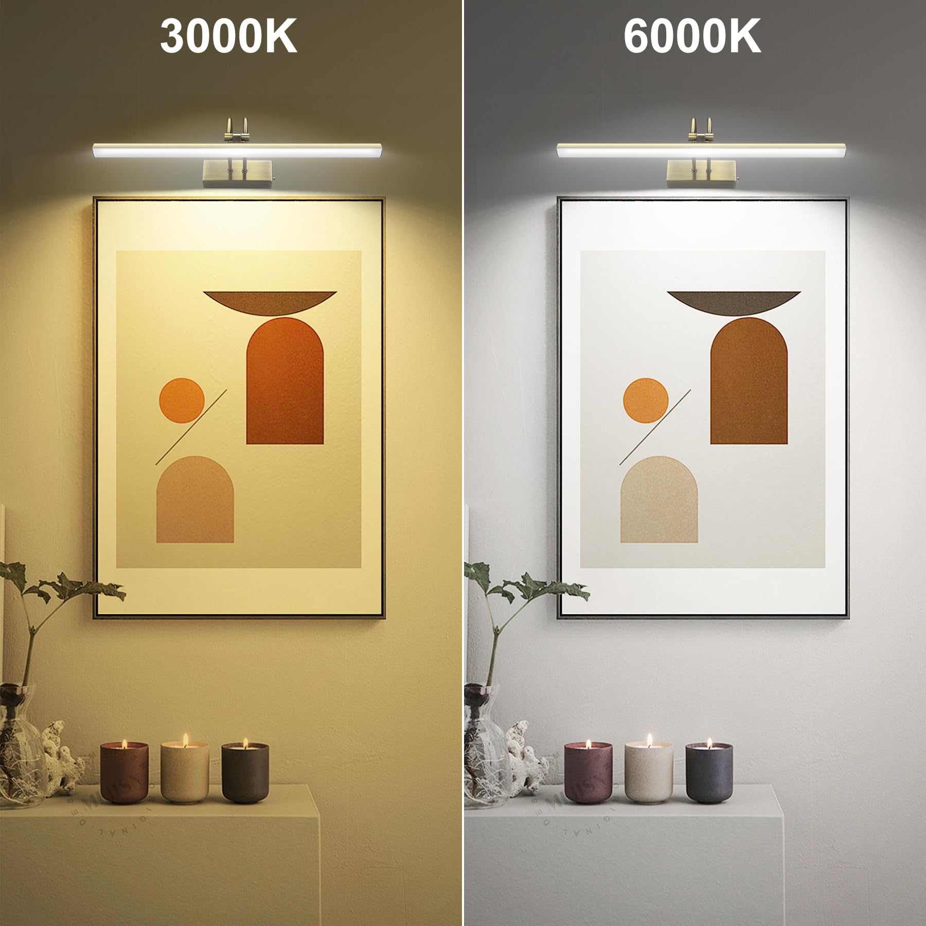 RAIFOOLLY Picture Light,16in Wireless Battery Wall Lighting,2 Colors Remote Art Lights for Paintings with Timer and Dimmable for