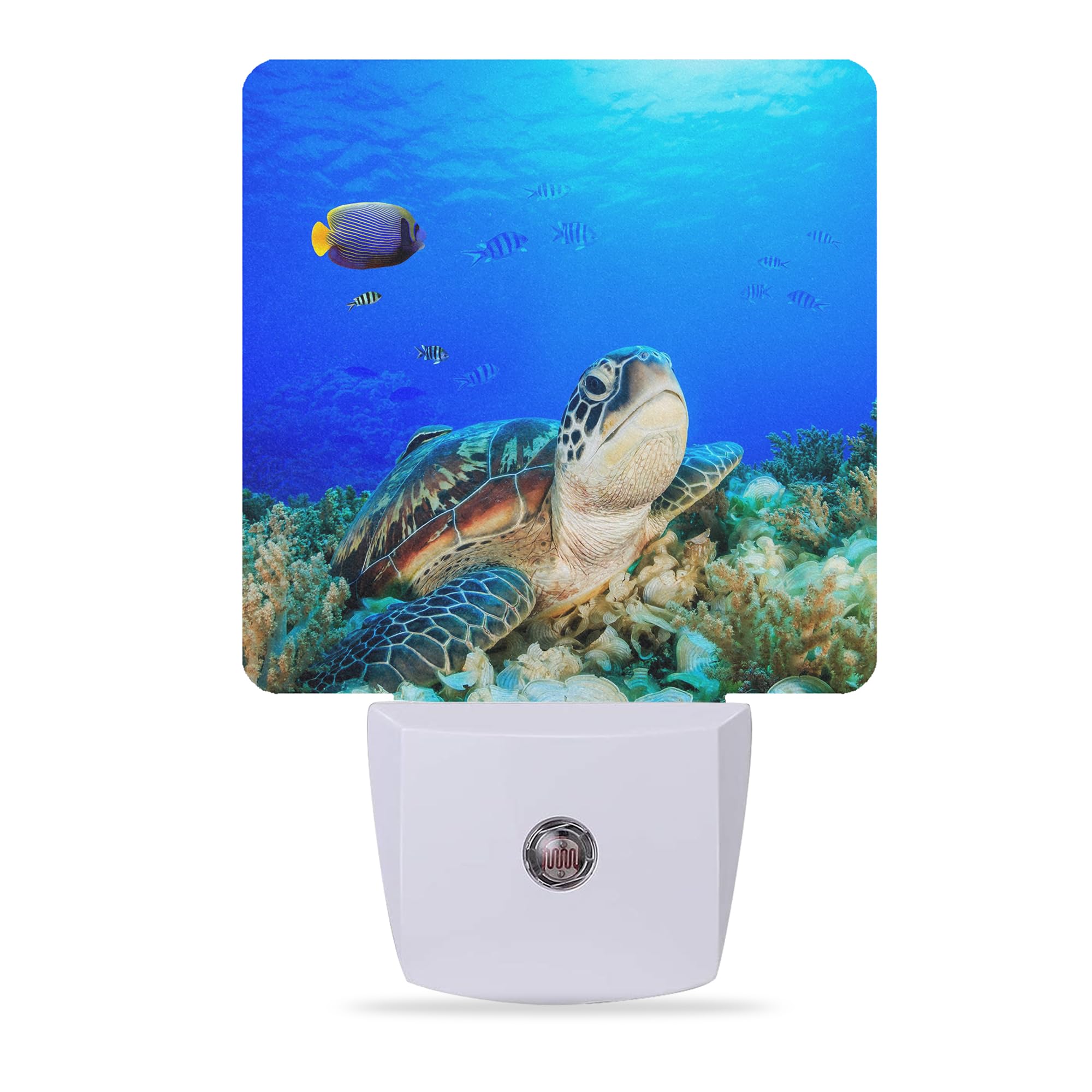 Meikosks Night Lights Plug into Wall Sea Turtle Night Lights Dusk to Dawn Sensor Led Lamp for Women Men,Led Lights for Stairway/