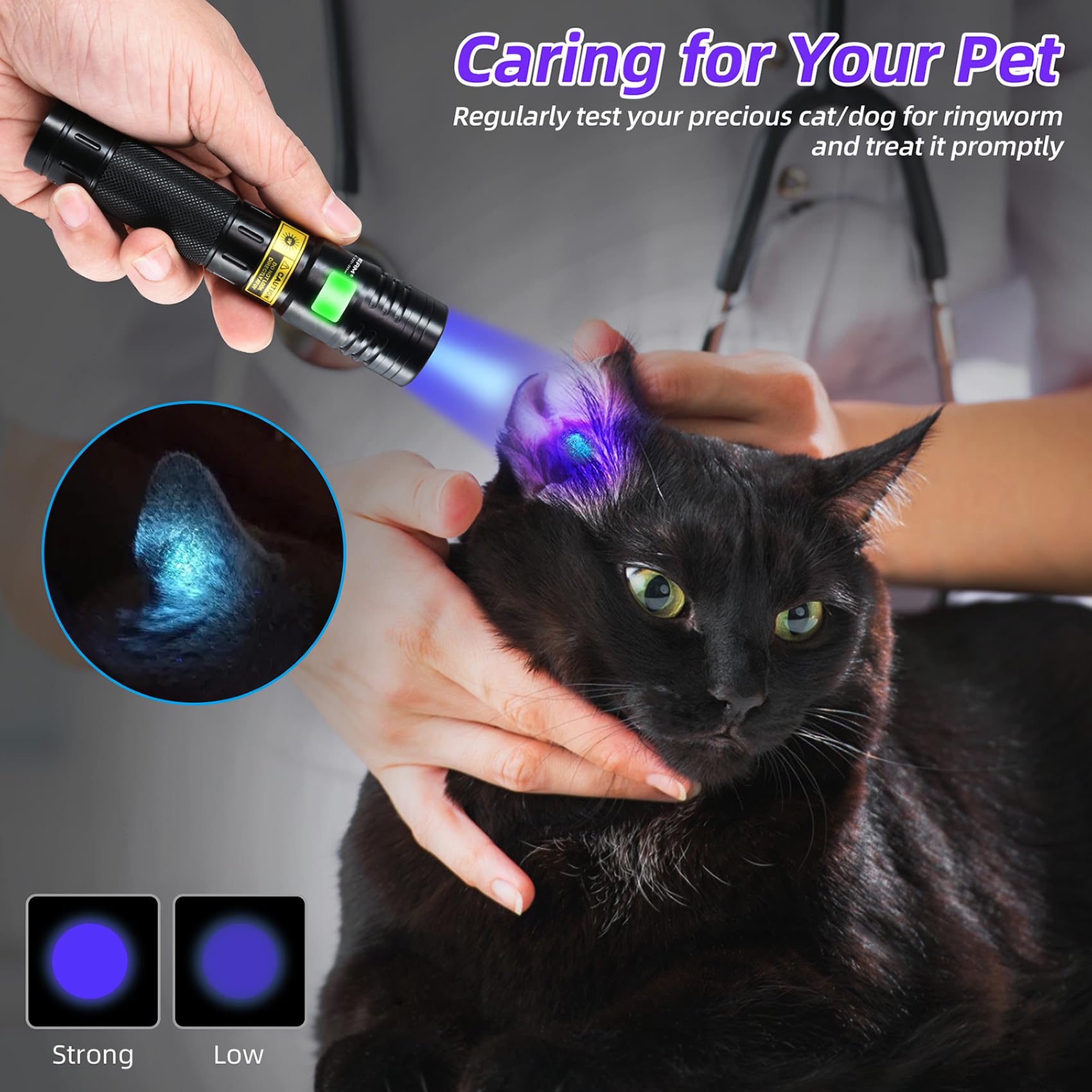DARKBEAM UV 365nm Flashlight - High Power 3 LEDs, Mini USB-C Rechargeable Woods Lamp, Detector for Pet Urine & Leak Detection, Model UF2201