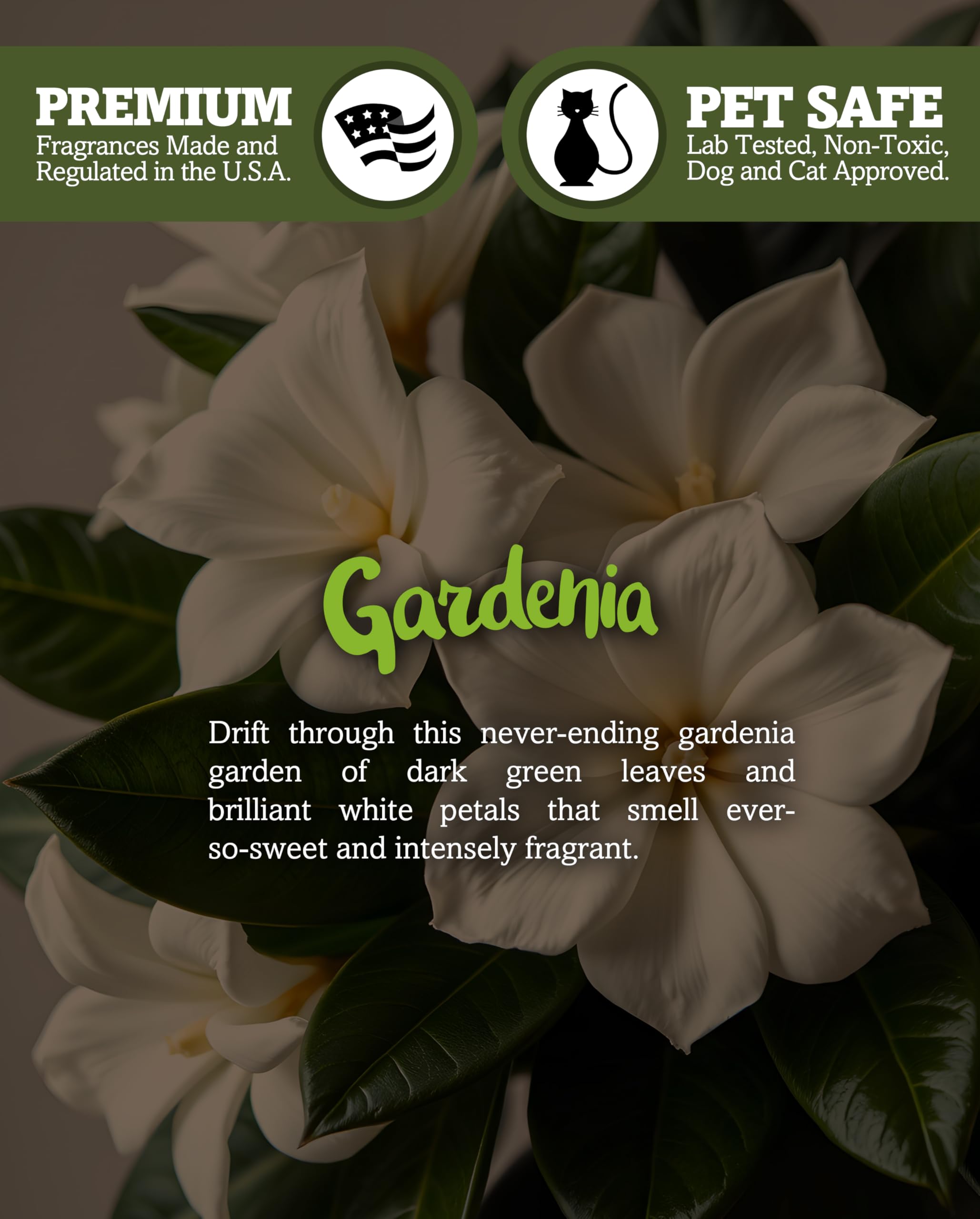 Shorties Candle Company Pure Gardenia Tealight Candles - Highly Scented - 6 White Tea Lights - Paraffin Wax - Model AX-AY-ABHI-25981