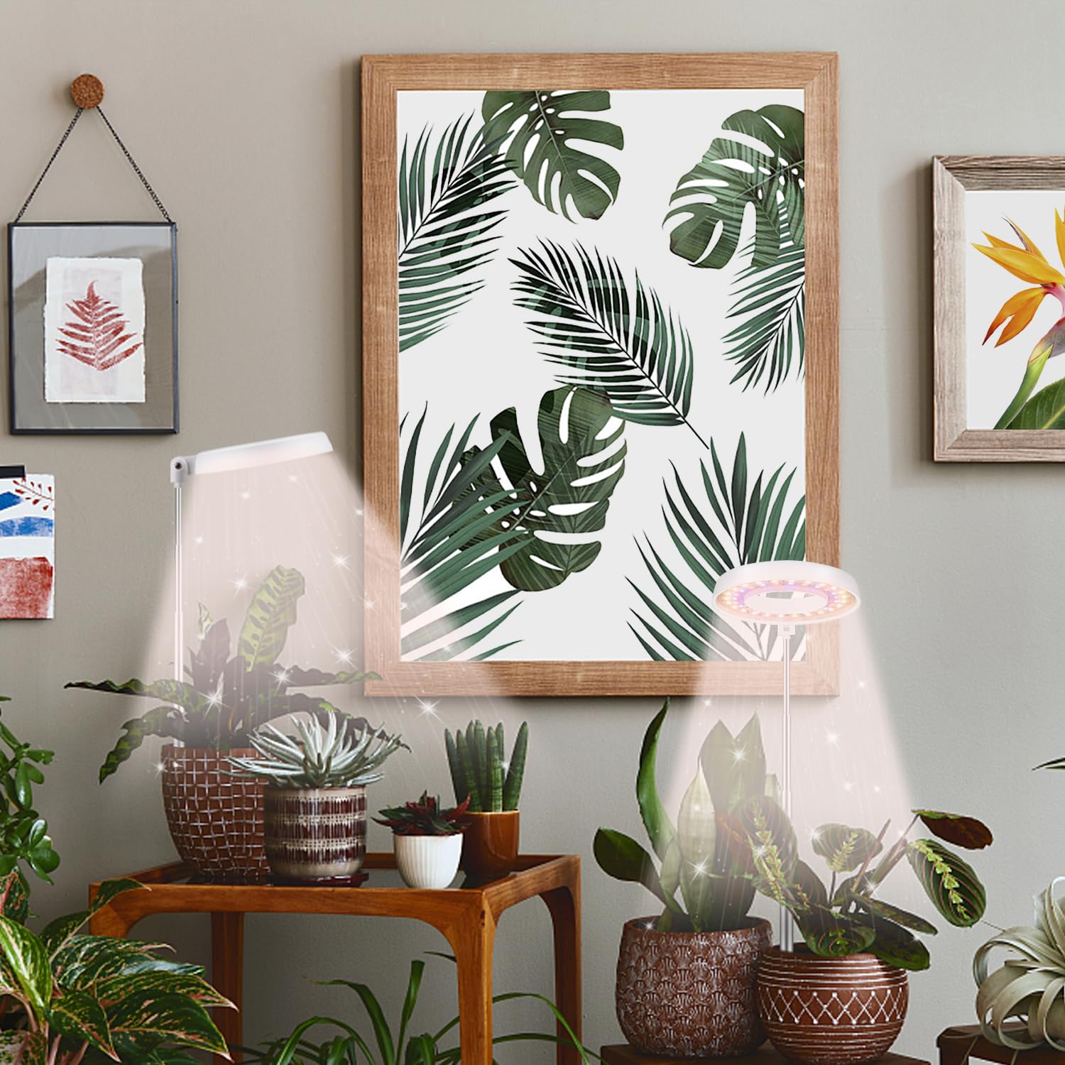 Gooingtop Led Grow Light, Halo Plant Growing Lamp For Indoor Plants Growth, White Full Spectrum Low Light For Small Plants,Upgrade Timer 4/8/12/18 Hrs & Variable Spectrum,2 Pack