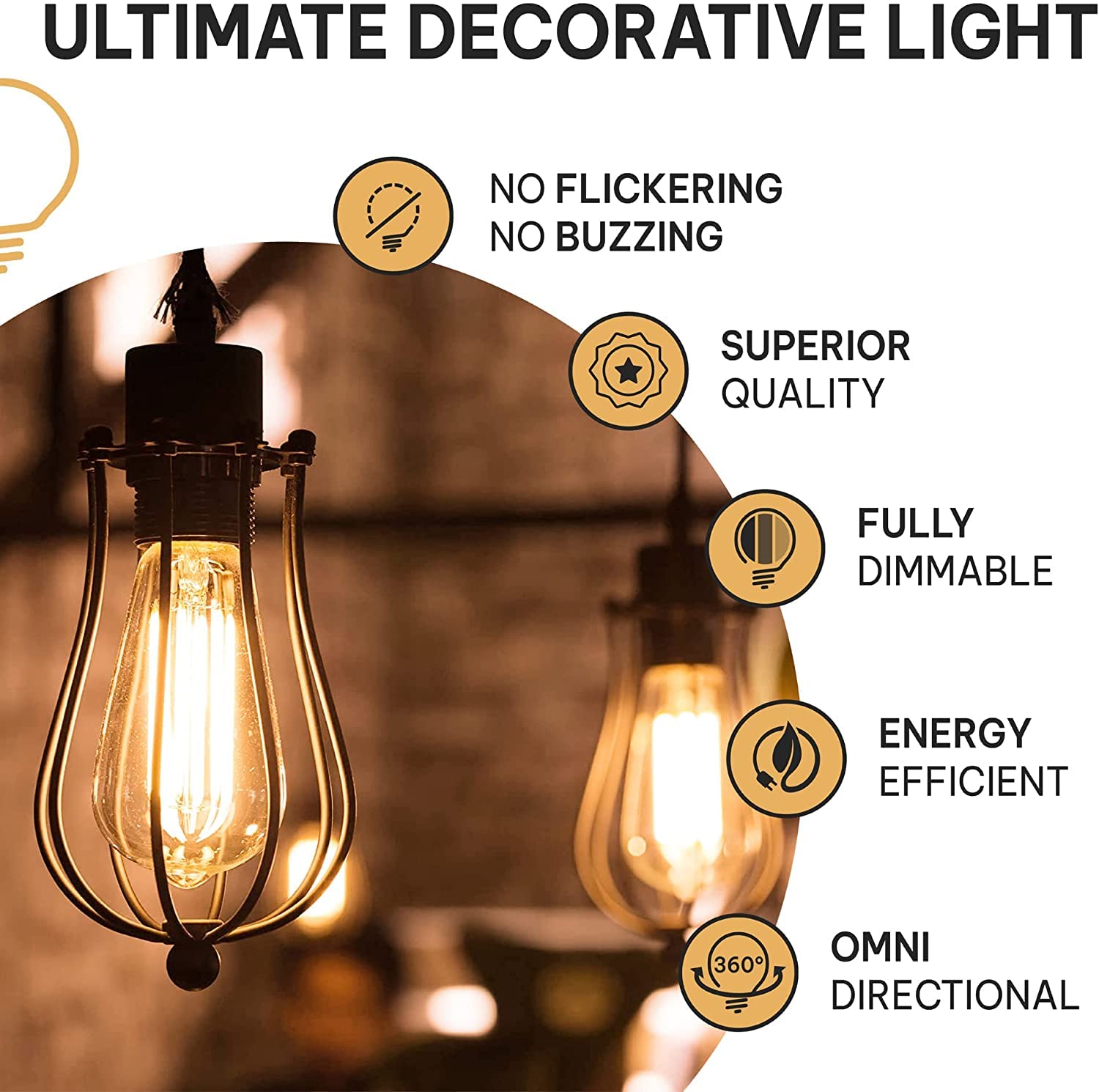 Hudson Bulb Co. Vintage Edison Incandescent 60W 12-Pack Light Bulbs - Antique St64 Dimmable 2100K Warm Decorative Squirrel Filam