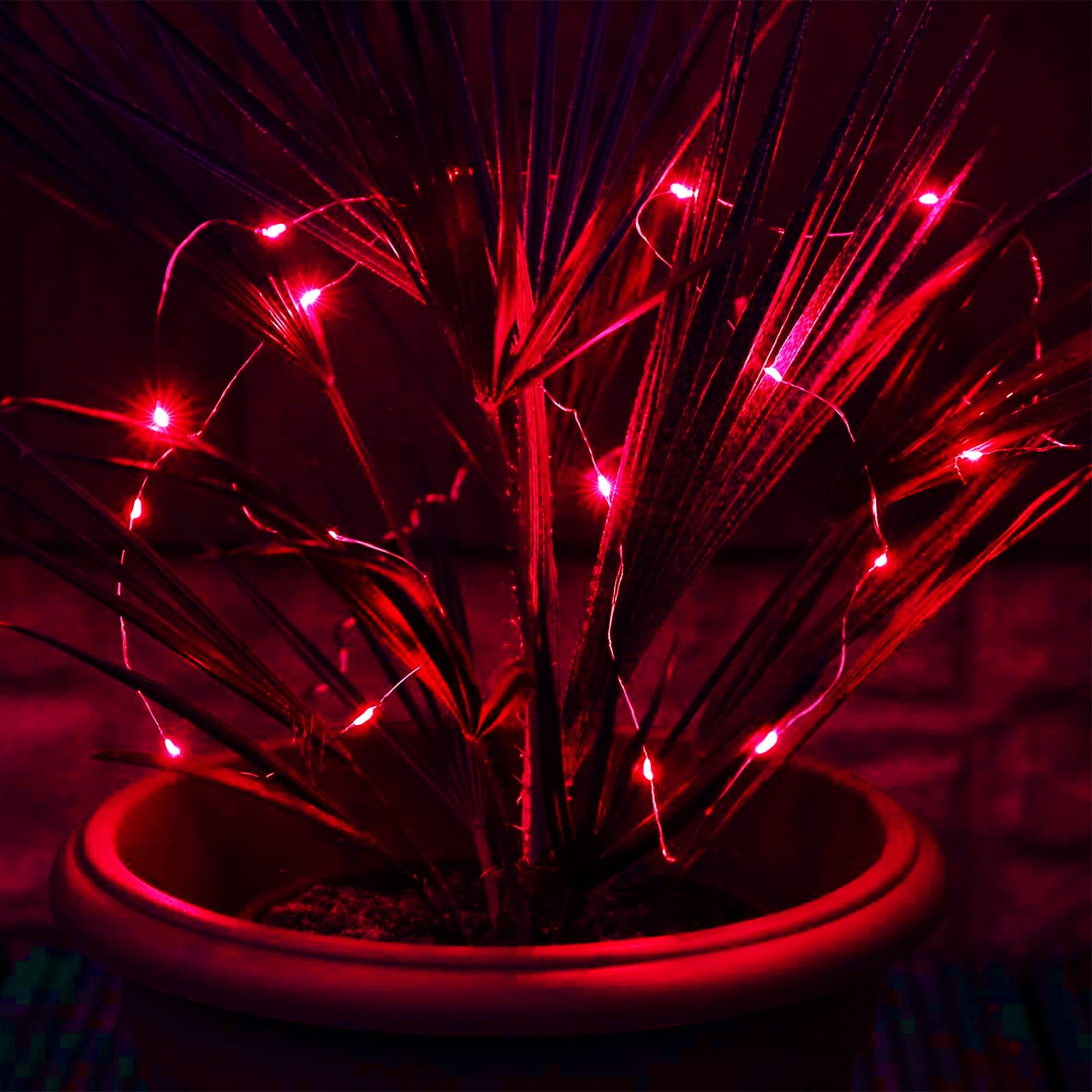 kemooie Solar Fairy Lights, 100 LED 33FT, 8 Twinkle Modes, Waterproof, Red, for Outdoor Decorations, Christmas, Valentines Day