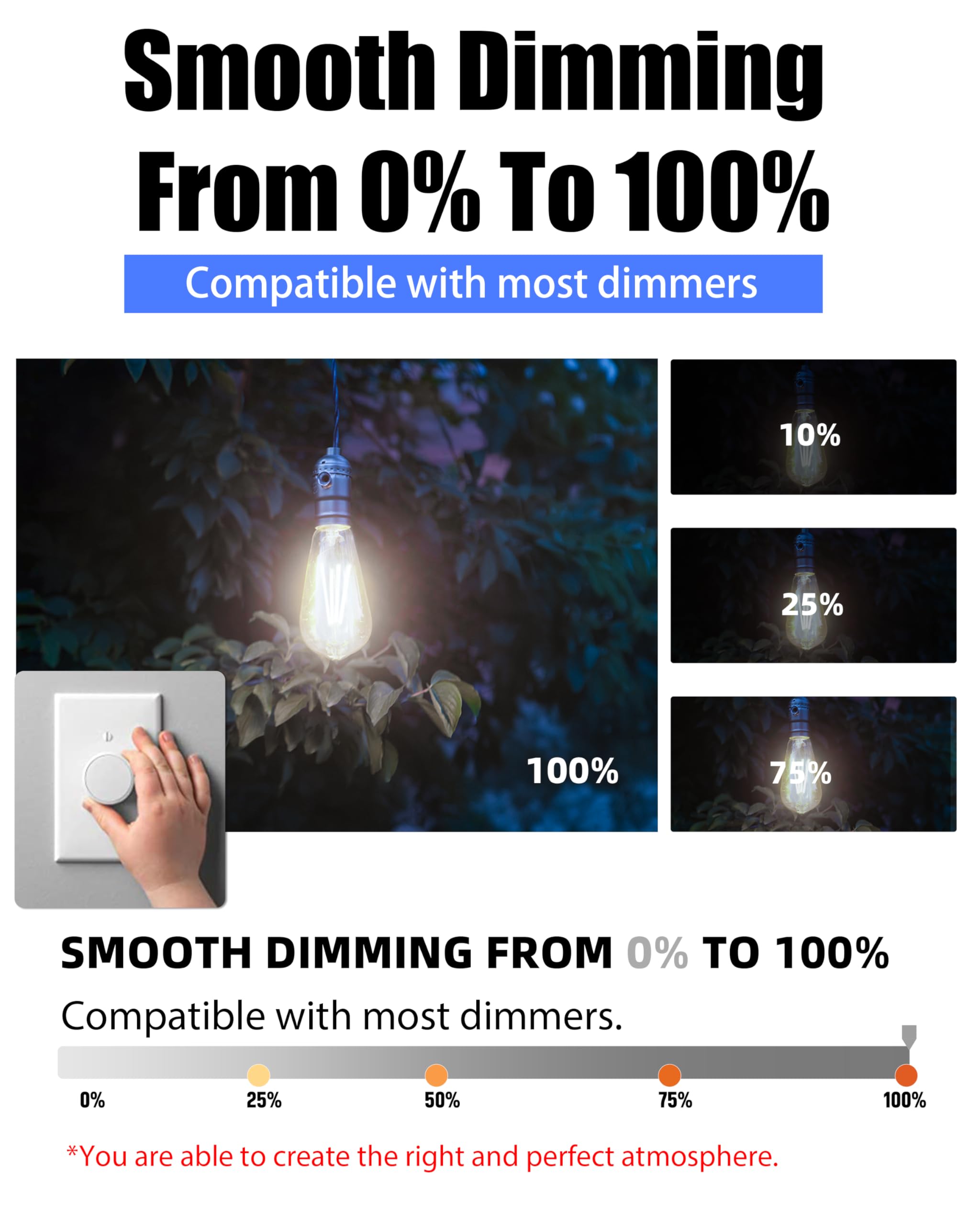 Lumiverse Vintage LED Edison Bulbs, 5.5W Dimmable, 4000K Cool White, E26 Base, Glass, 6 Pack