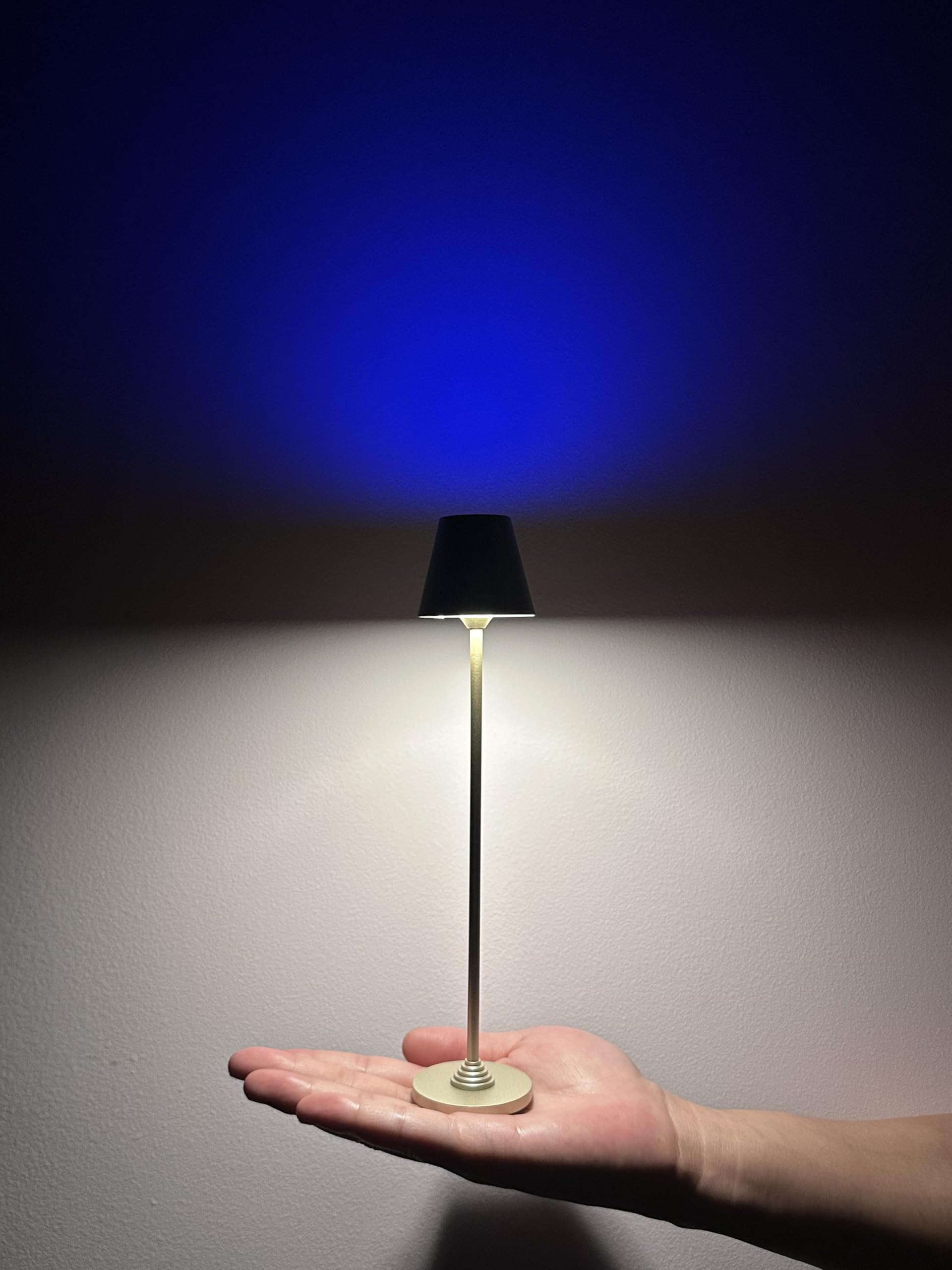 Timjorman RGB Palm-Sized Cordless Table Lamp  Rechargeable Touch Metal Bedside Lamp  3 Brightness 3000K Warm Light  Small Table Lamp for Bedroom  Restaurant  Patio  Camping (Sparkling Beverage Gold 1 Pack)