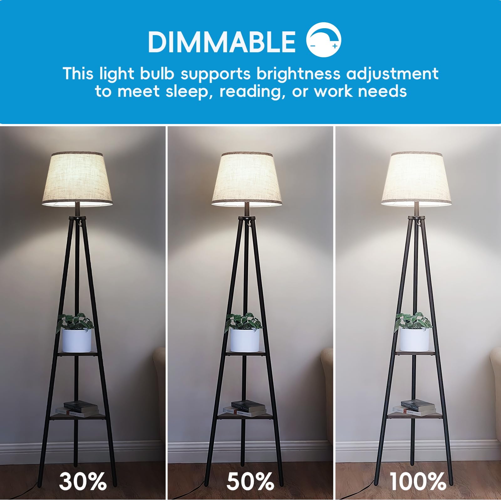 Jensense Edison LED Light Bulbs 8W Dimmable 2700K Warm White E26 60W Equivalent Clear Glass 24 Pack CRI 90 Model ETL-LBCST