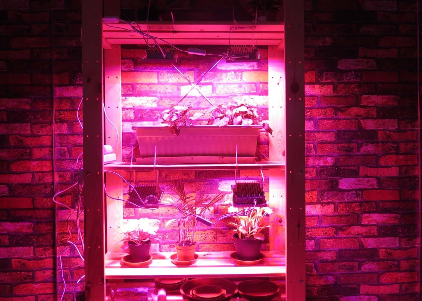 Acke Led Grow Lights Full Spectrum,Plant Lights,Growing Lamps 12W For Indoor Plants,Hydropoincs