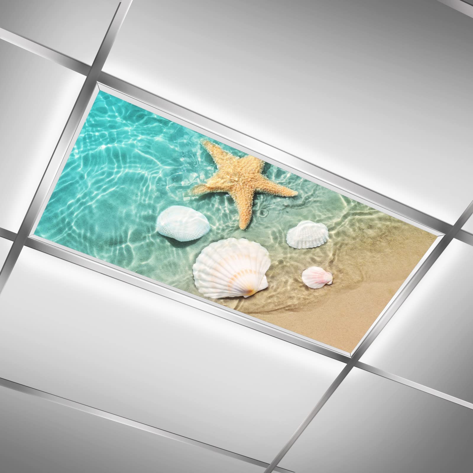 MSINMKOK 2ft x 4ft Fluorescent Light Covers Sea Water Beach Starfish Shell Conch Light Filters-Easy Setup for Office,Hospitals,H