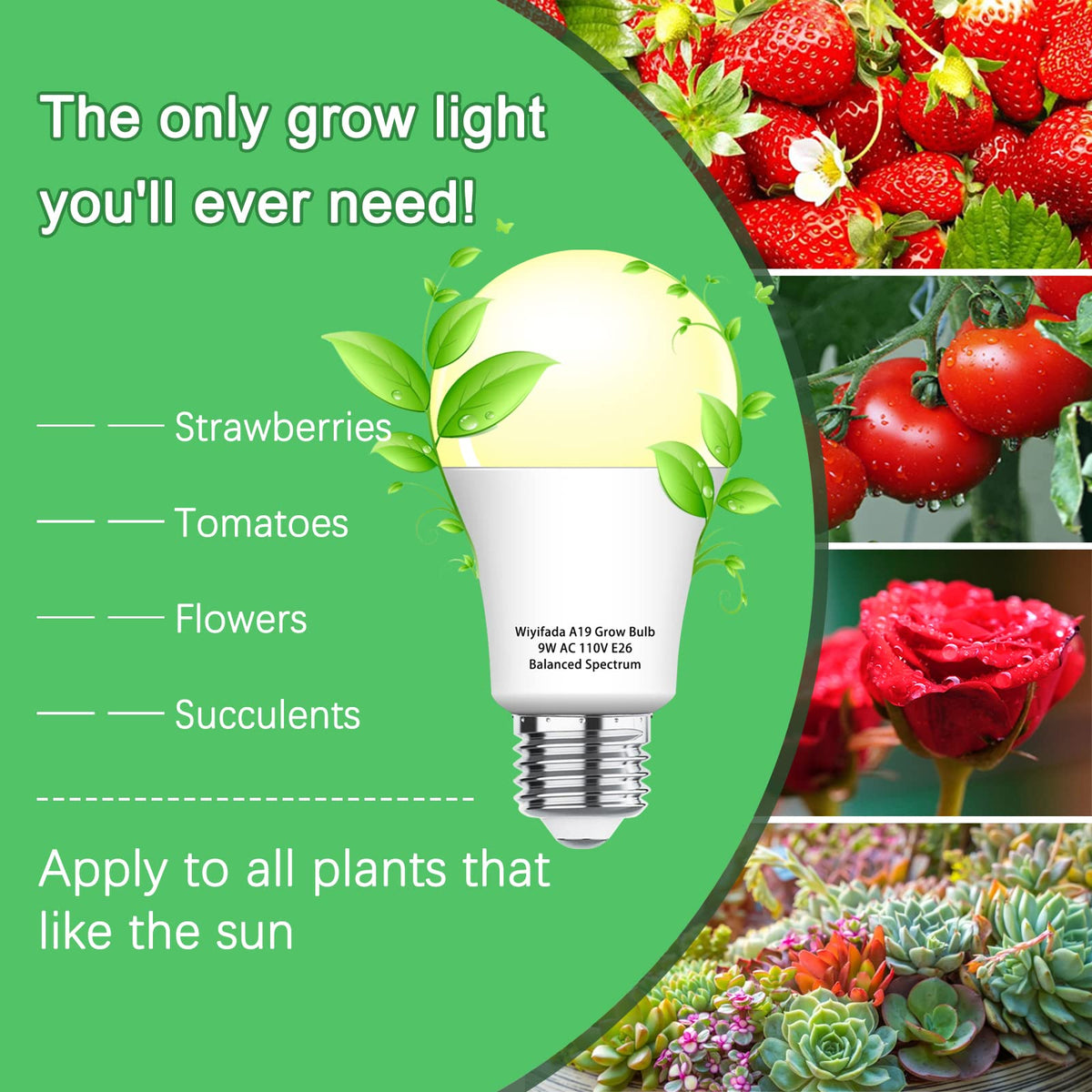 light bulb indoor plants Wiyifada 3 Pack A19 Full Spectrum Grow Light Bulbs E26 9W for Indoor Plants, Greenhouse, Hydroponics