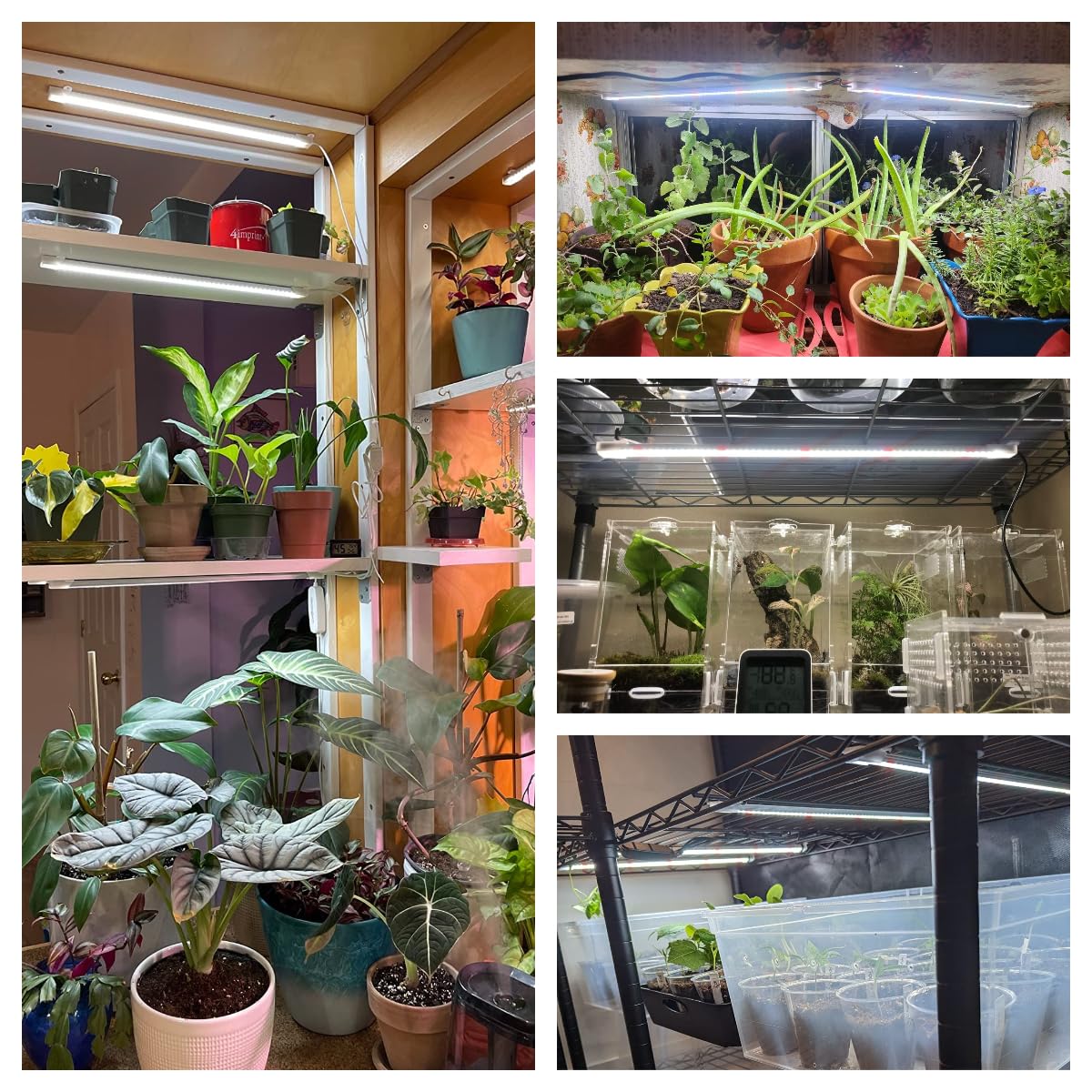 Wiaxulay LED Grow Light Strips, Full Spectrum 6000K, 2 Pack, 4 Bars, Aluminum, Auto Timer, Dimmable Levels, Hydroponics