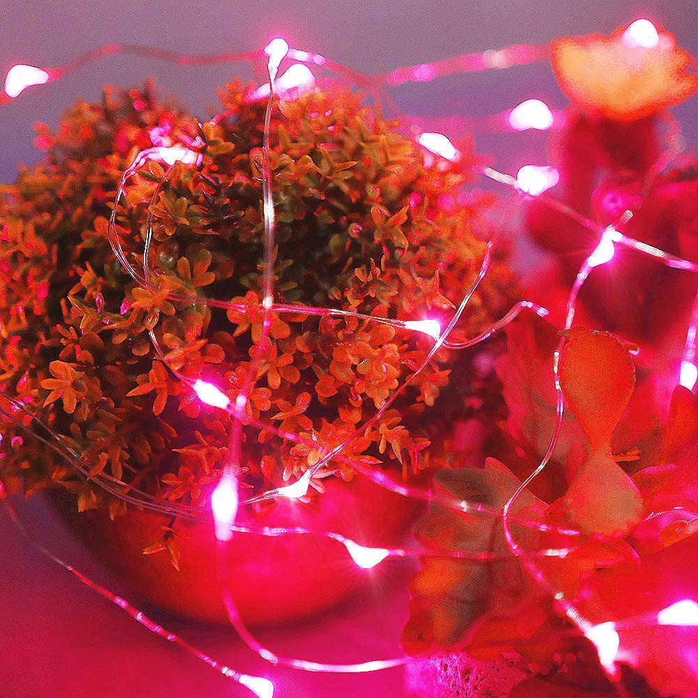 Ariceleo Led Fairy Lights Battery Operated, 1 Pack Mini Battery Powered Copper Wire Starry Fairy Lights for Bedroom, Christmas,