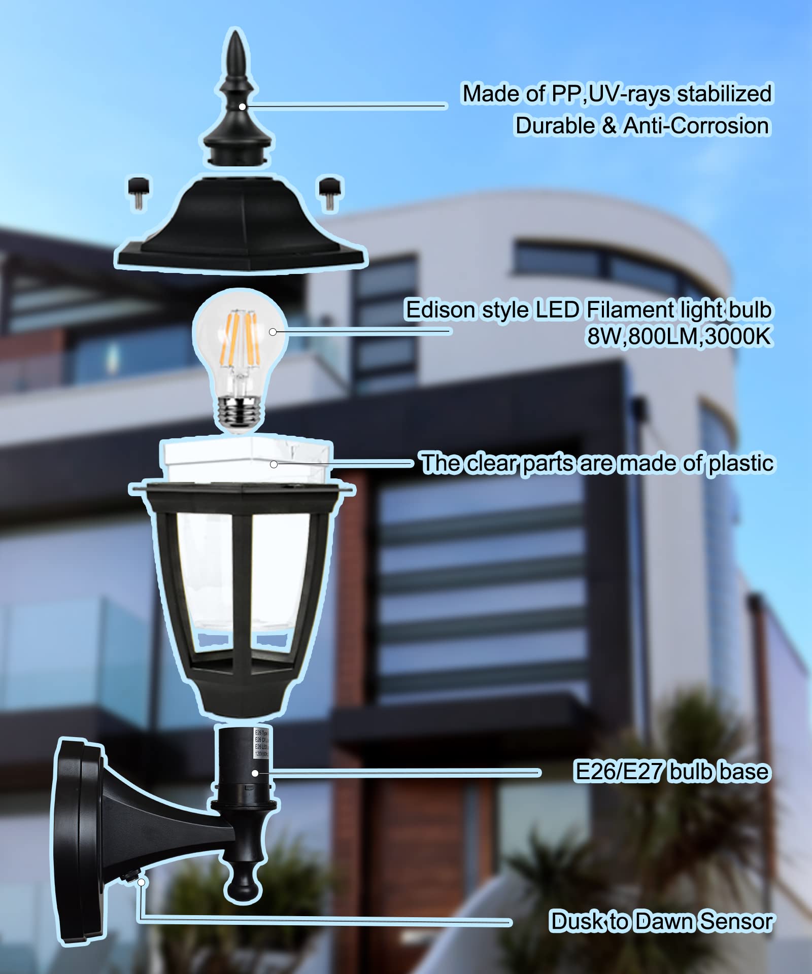 FUDESY Outdoor Wall Light, Dusk to Dawn Sensor, Black Plastic, LED Edison Bulb, 1-Pack, Model FDS2542PS-B