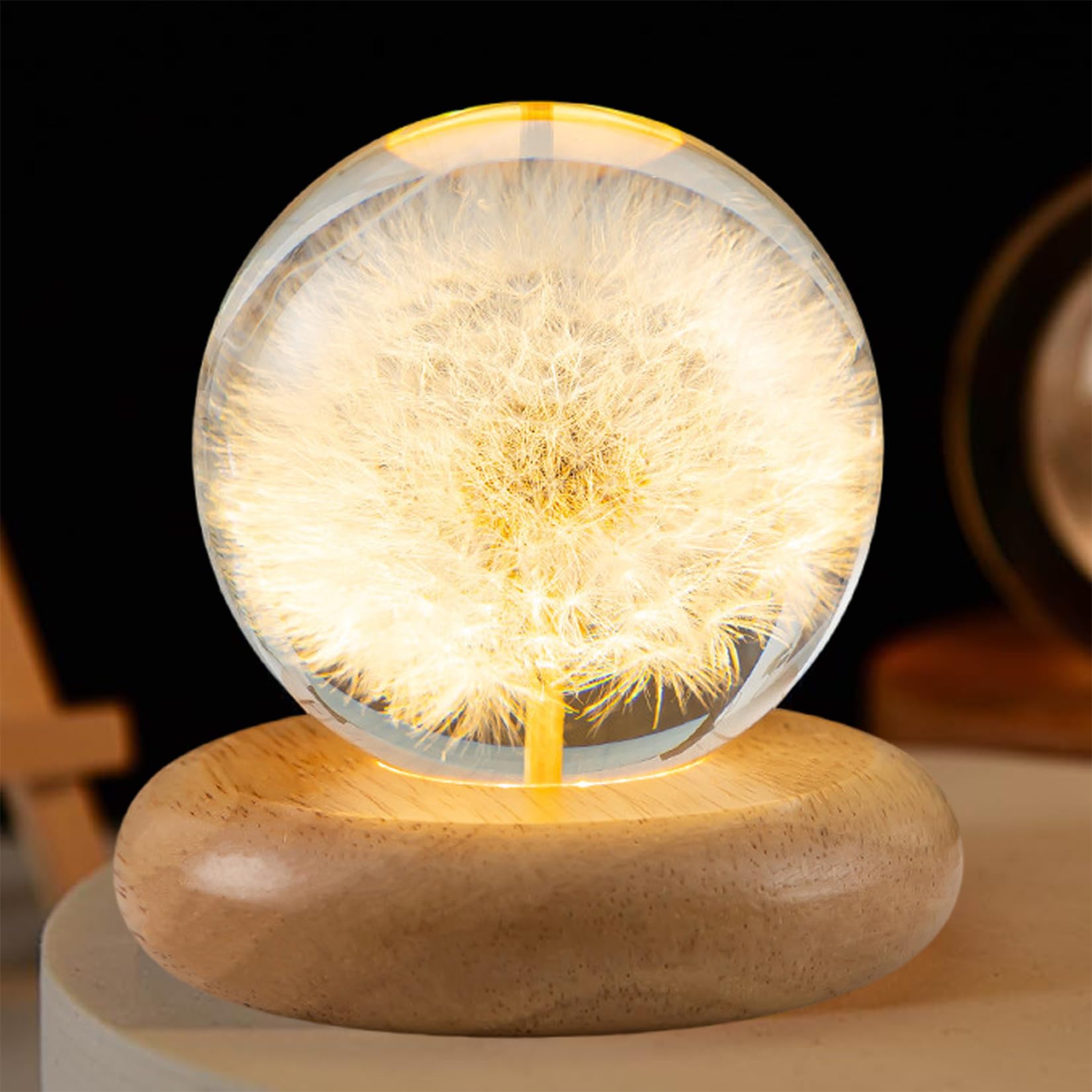 Pletmin Dandelion Ball Night Light, 2.76 inch Ball Night Lamp with Wooden Base, Fall Decorations for Home Gift for Dad, Mom,Teac