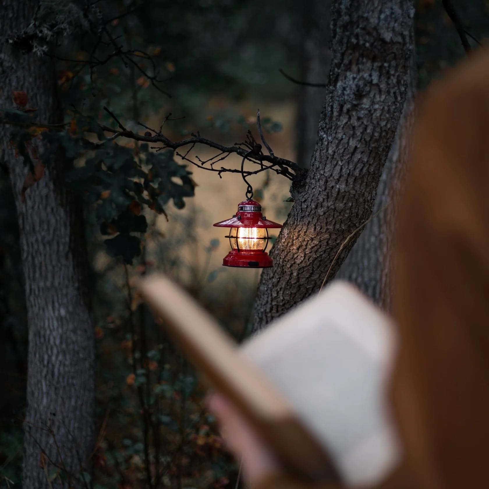 Barebones Edison Mini Lantern - Vintage LED Outdoor Light, Adjustable Brightness, Red, 1 Pack, Model LIV-274