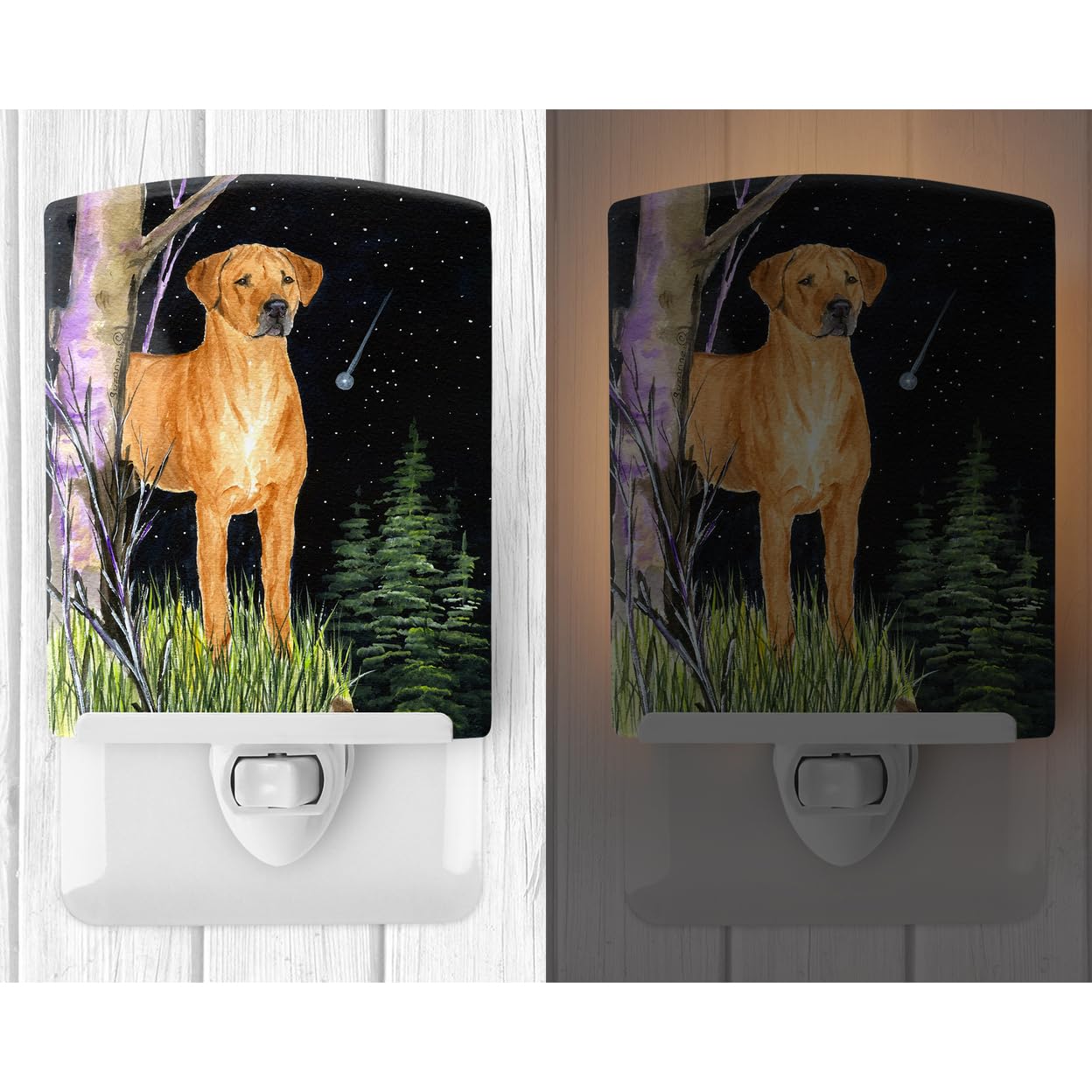 Carolines Treasures Night Light, Ceramic, UL-Certified, 6x4x3in, Rhodesian Ridgeback, Model SS8479CNL, Multicolor