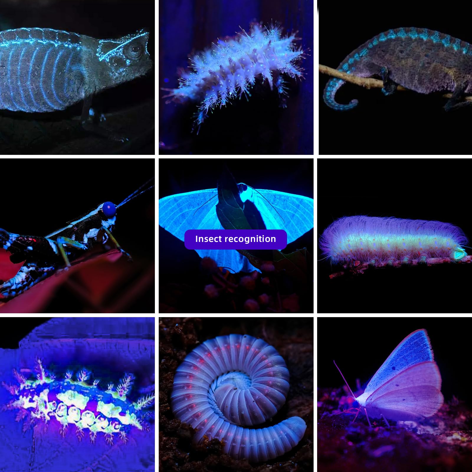 Lightfe Uv304 Uv Flashlight - High Power Ultraviolet - Rechargeable Type-C Can Be Used For Uv Glue Curing, Pet Urine Stains, Ore