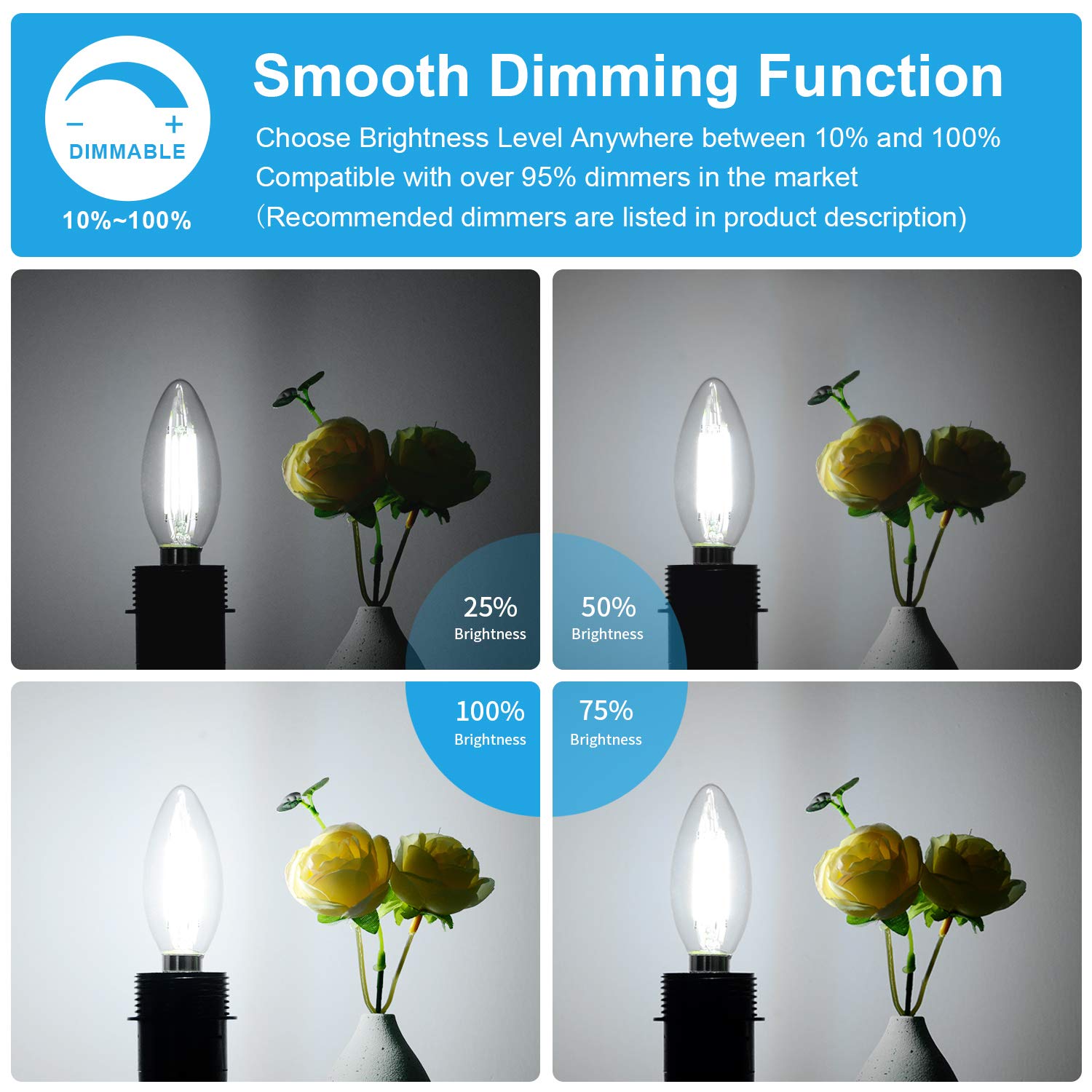 24-Pack Dimmable E12 Led Candelabra Bulbs 60W Equivalent, 5000K Daylight White, 600 Lumens B11 Candle Base 6W C35 Led Filament V