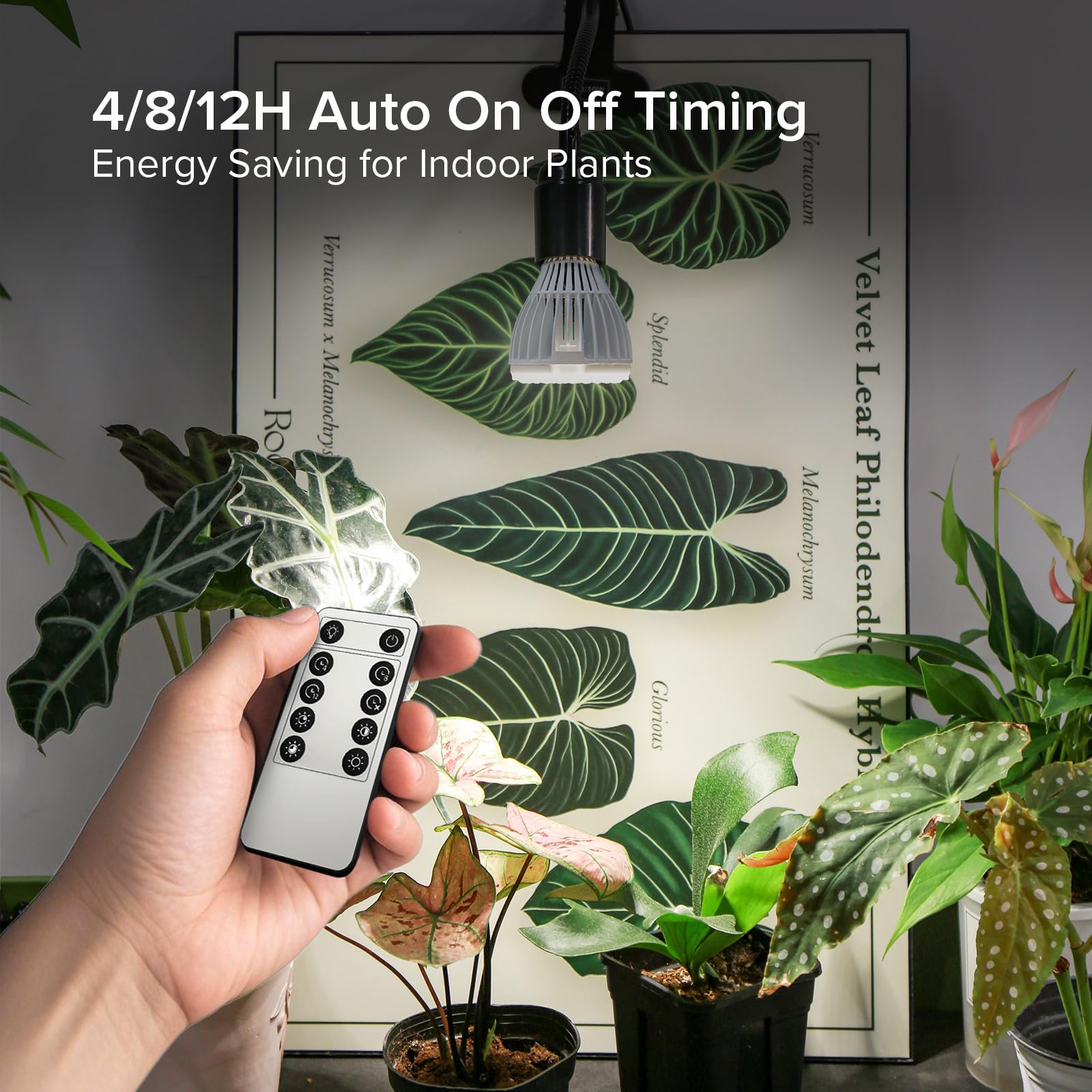 SGLEDs Dimmable Grow Light Bulb, Full Spectrum, 32W PAR20, Grey, Model C23ZW005, Remote Control, Auto On/Off Timing