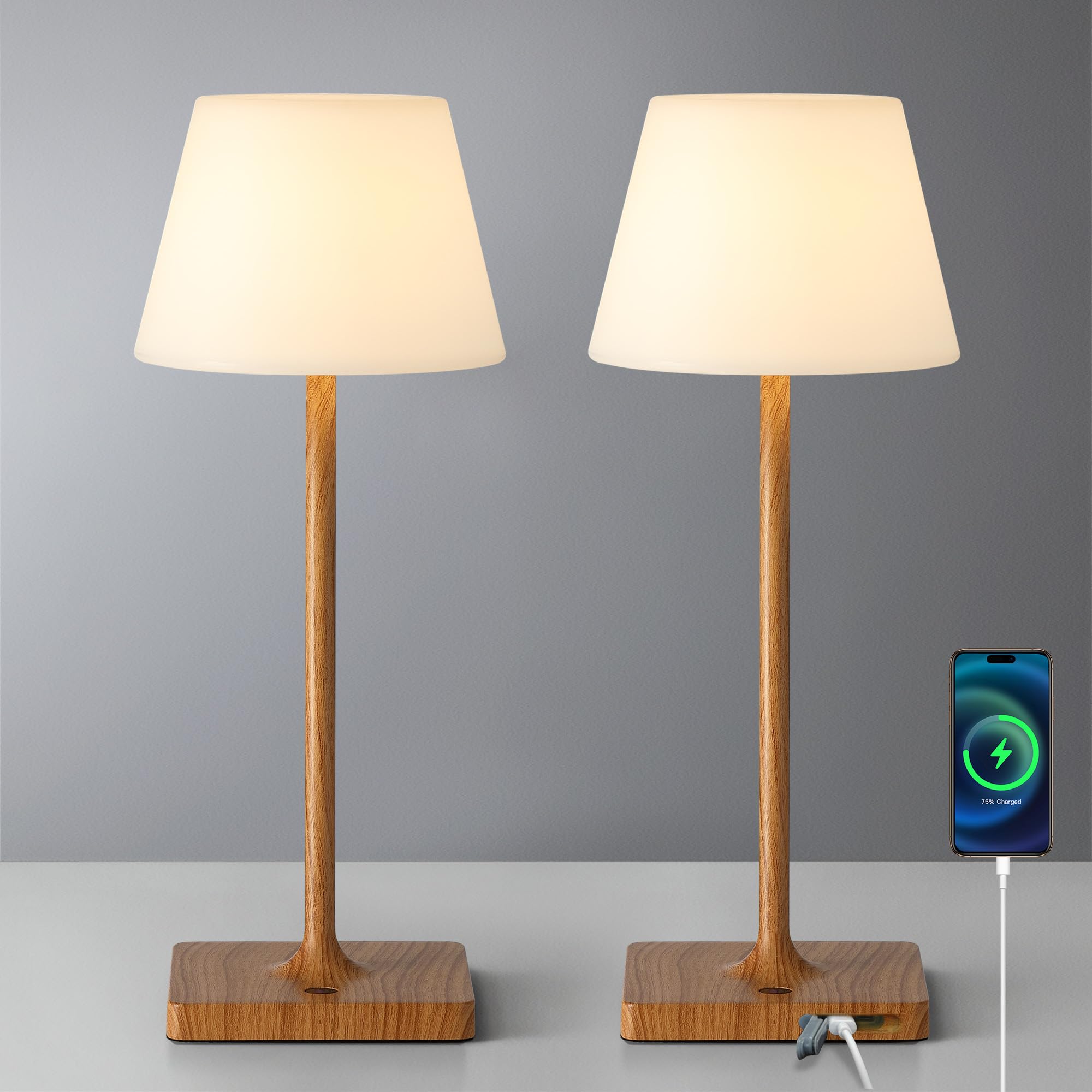 Newsee Cordless Portable Touch Table Lamp Waterproof Shower Lamp Set Of 2, 4000Mah Rechargeable Battery Powered Dimmable Led Des