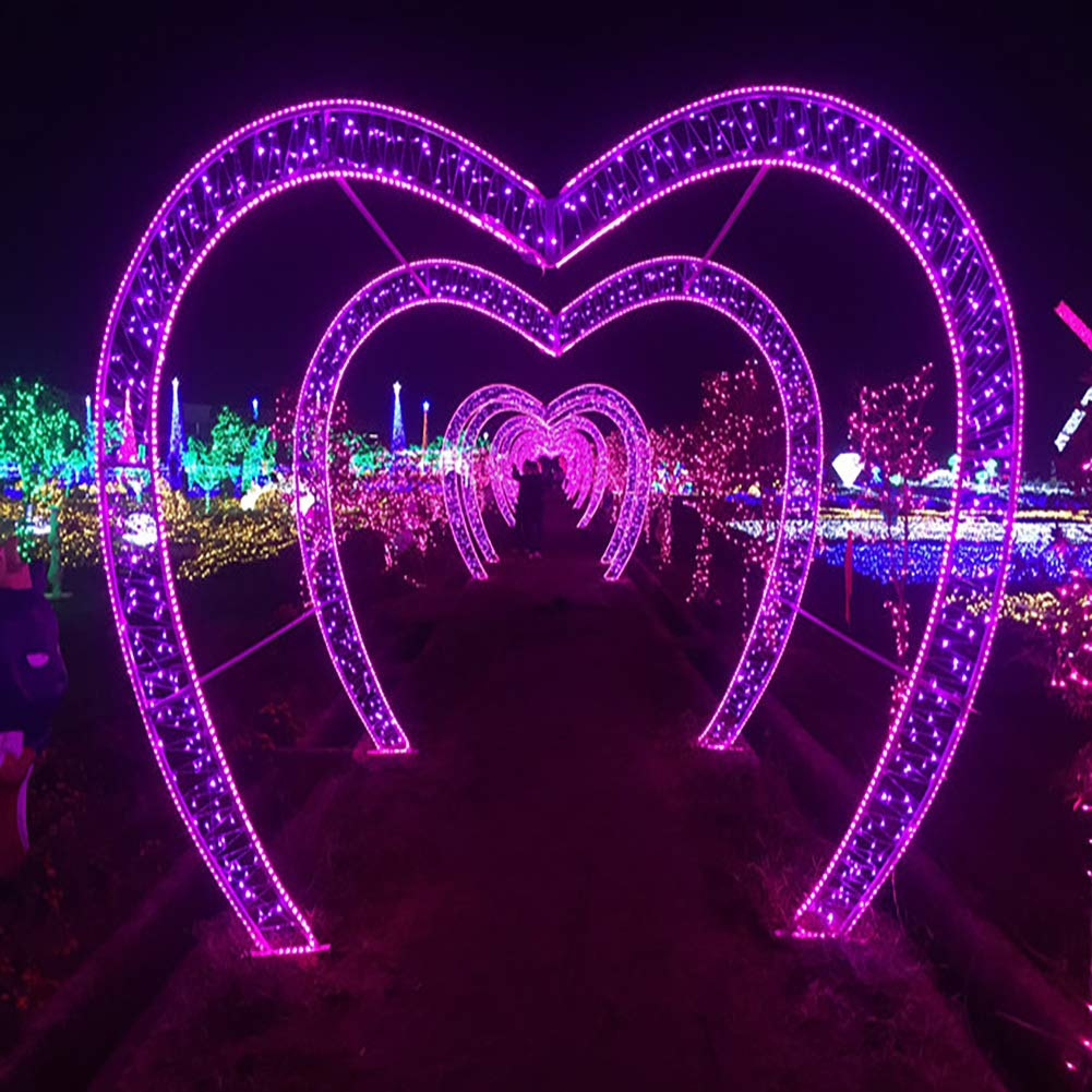 FULLBELL Fairy Lights String Lights 33ft 100 LED, Memory Modes, Transparent Wire, Purple, Model FLEDTKSL10MWW-PU
