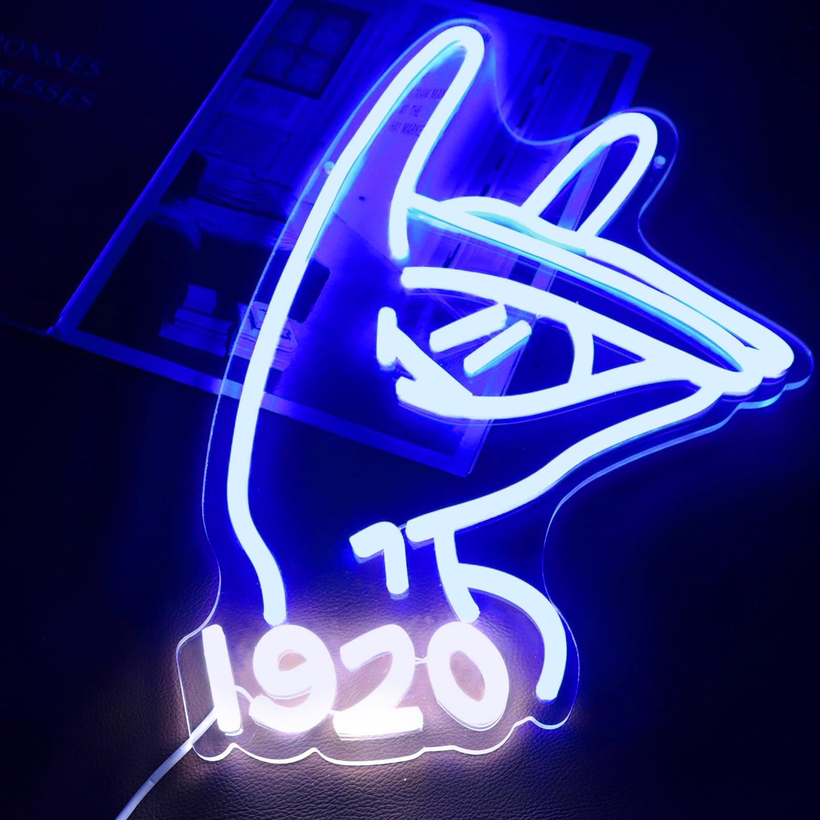 Tiabuy KAP Fraternity Neon Sign, Acrylic Wall Decor, Red, 17 x 12 inches, Model Tia-I02
