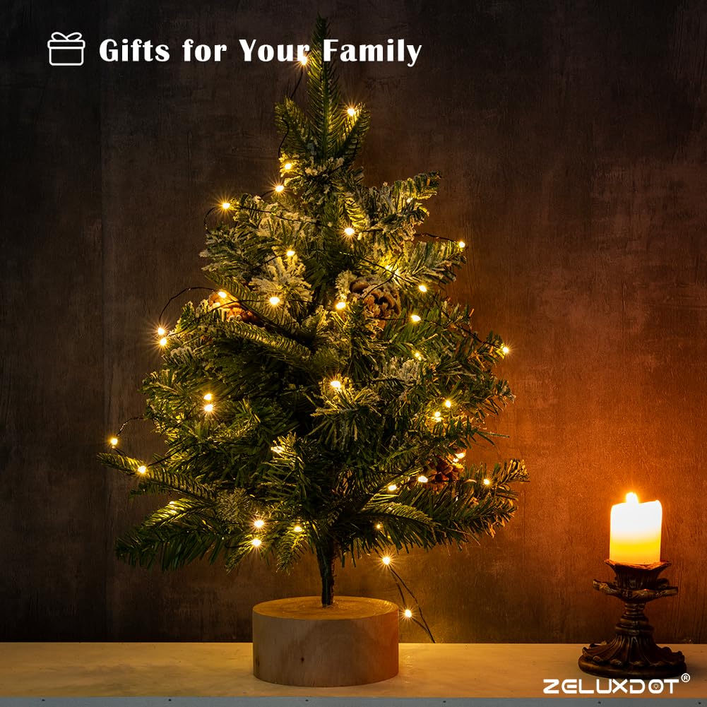 Zeluxdot Fairy Lights Plug In,100Ft 300 Leds Waterproof String Lights,Green Copper Wire,Led Lights Stirp With Remote 8 Modes For Indoor Outdoor Christmas Wedding Birthday Patio Garden Decor,Warm White