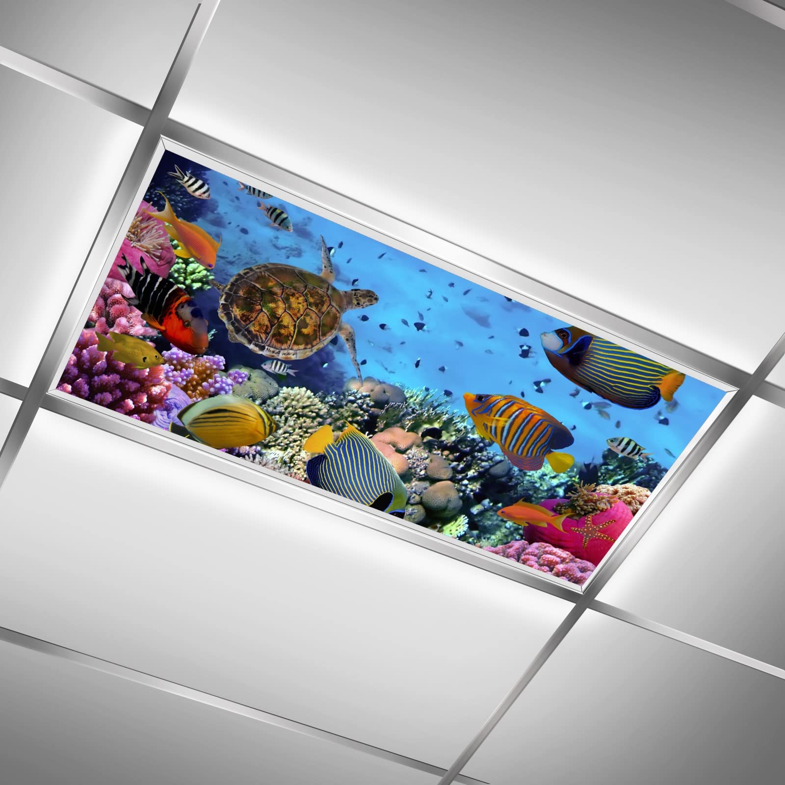 MSINMKOK Underwater World 2x4ft Drop Ceiling Fluorescent Decorative Light Cover Colorful Fishes Coral Reef Sea Turtle Skylight F
