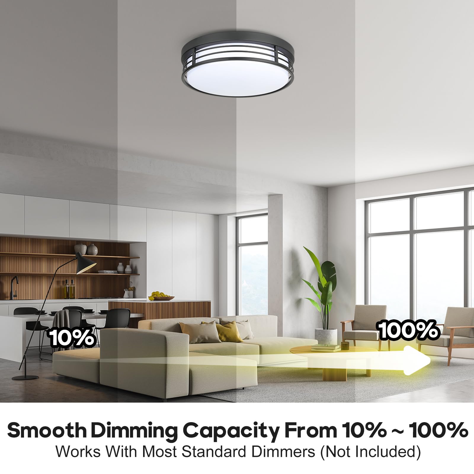 Wisbeam 10 Inch Led Ceiling Lighting Fixture, 23W Black Flush Mount Ceiling Light With 5Cct(2700K/3000K/3500K/4000K/5000K), Dimm