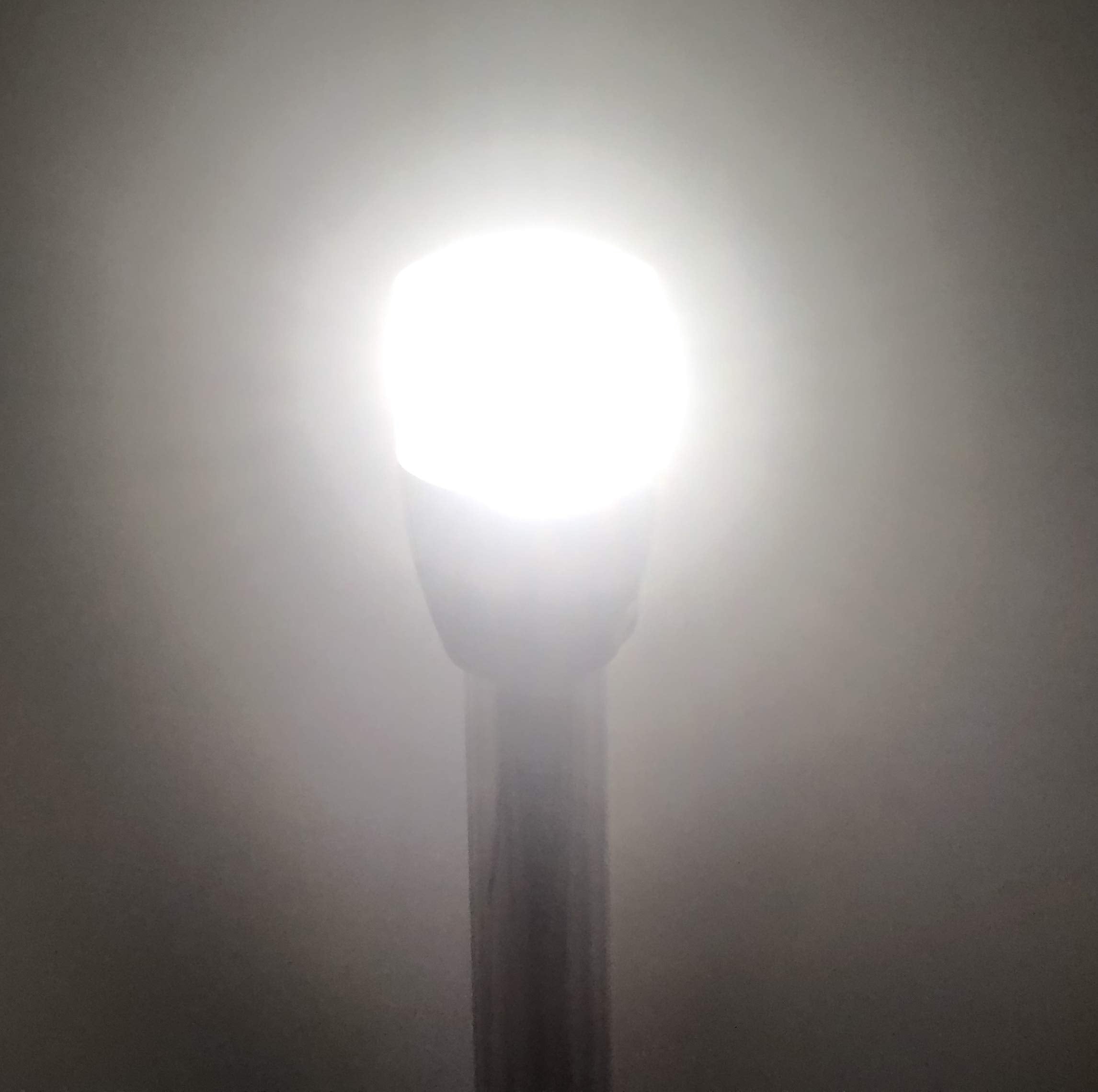 Pactrade Marine Boat Navigation Lights Led - 22 Inch White All-Round/Stern Light Pole (Replacement Pole, Flush Mount) - Boat Acc