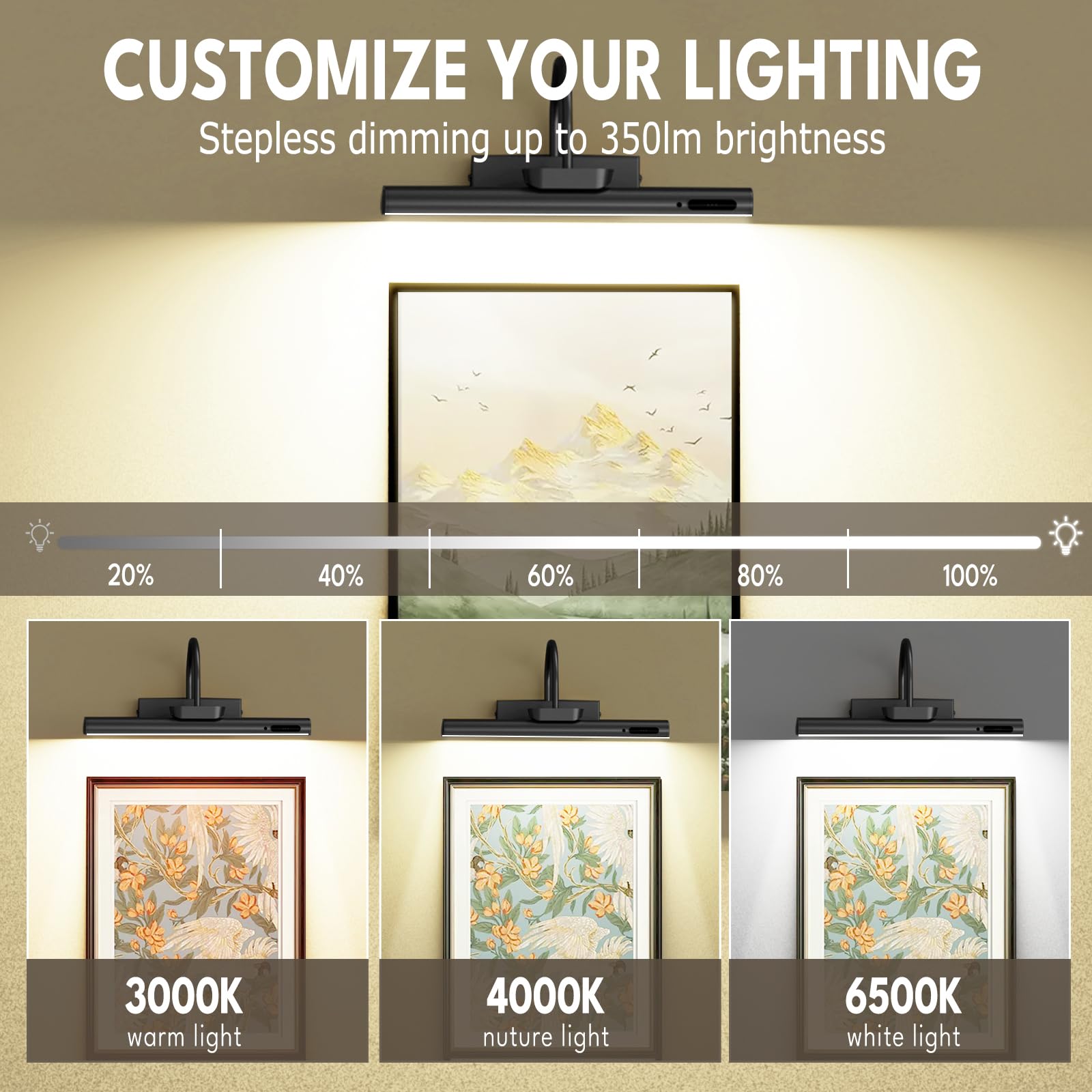 Bridika Picture Light, Battery Operated, 19.7in, Dimmable, Aluminum, Black, Model YZ500