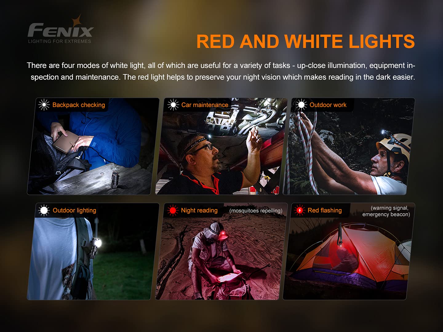 Fenix Hm50R V2.0 Headlamp, 700 Lumen Usb-C Rechargeable Lightweight With White/Red Light, With Lumentac Organizer
