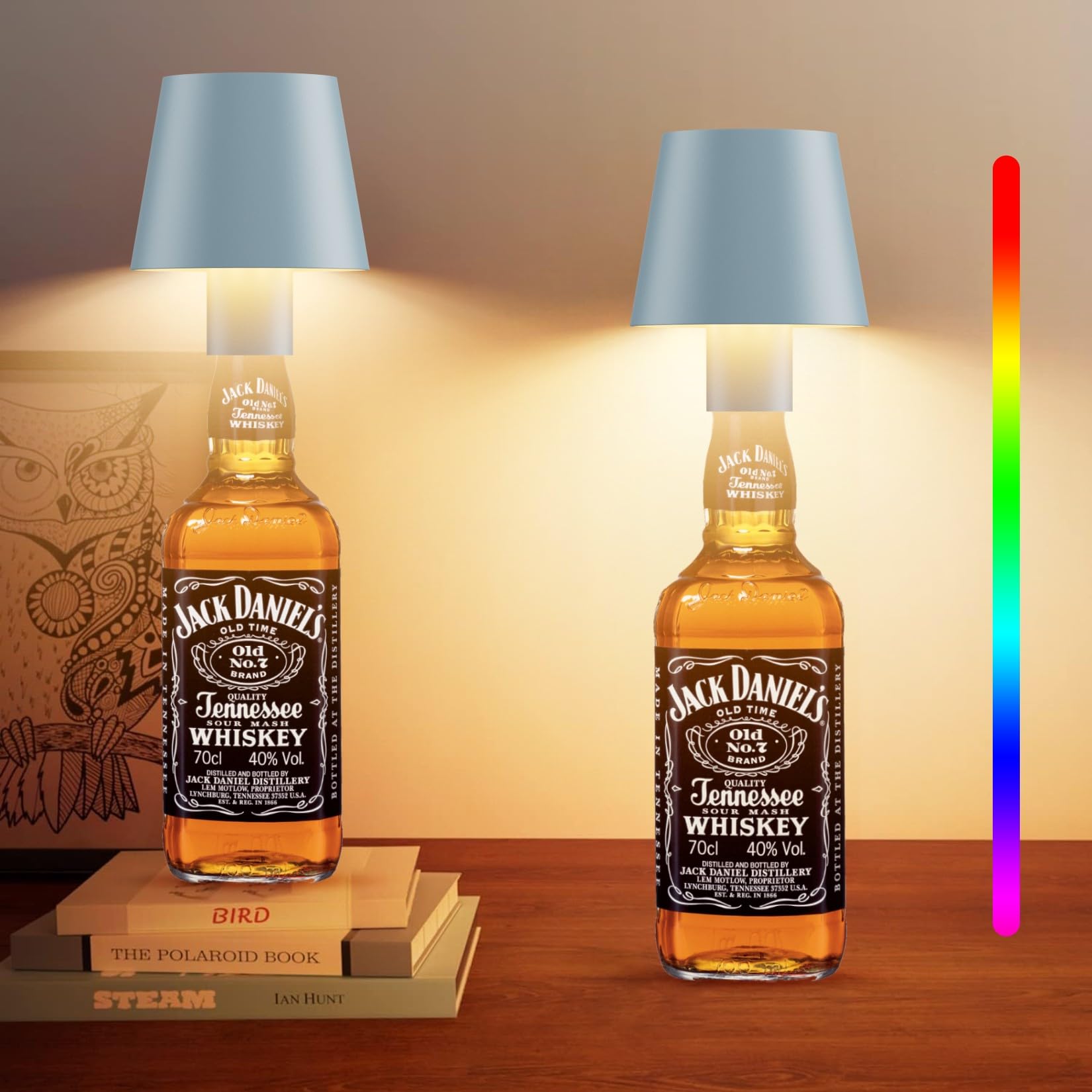 Howskys 2 Pack LED Dimmable Bottle Lamp 3000k+RGB, IP54 Wireless Bottle Lamp for Indoor and Outdoor, 5500 mAh Rechargeable Bottl