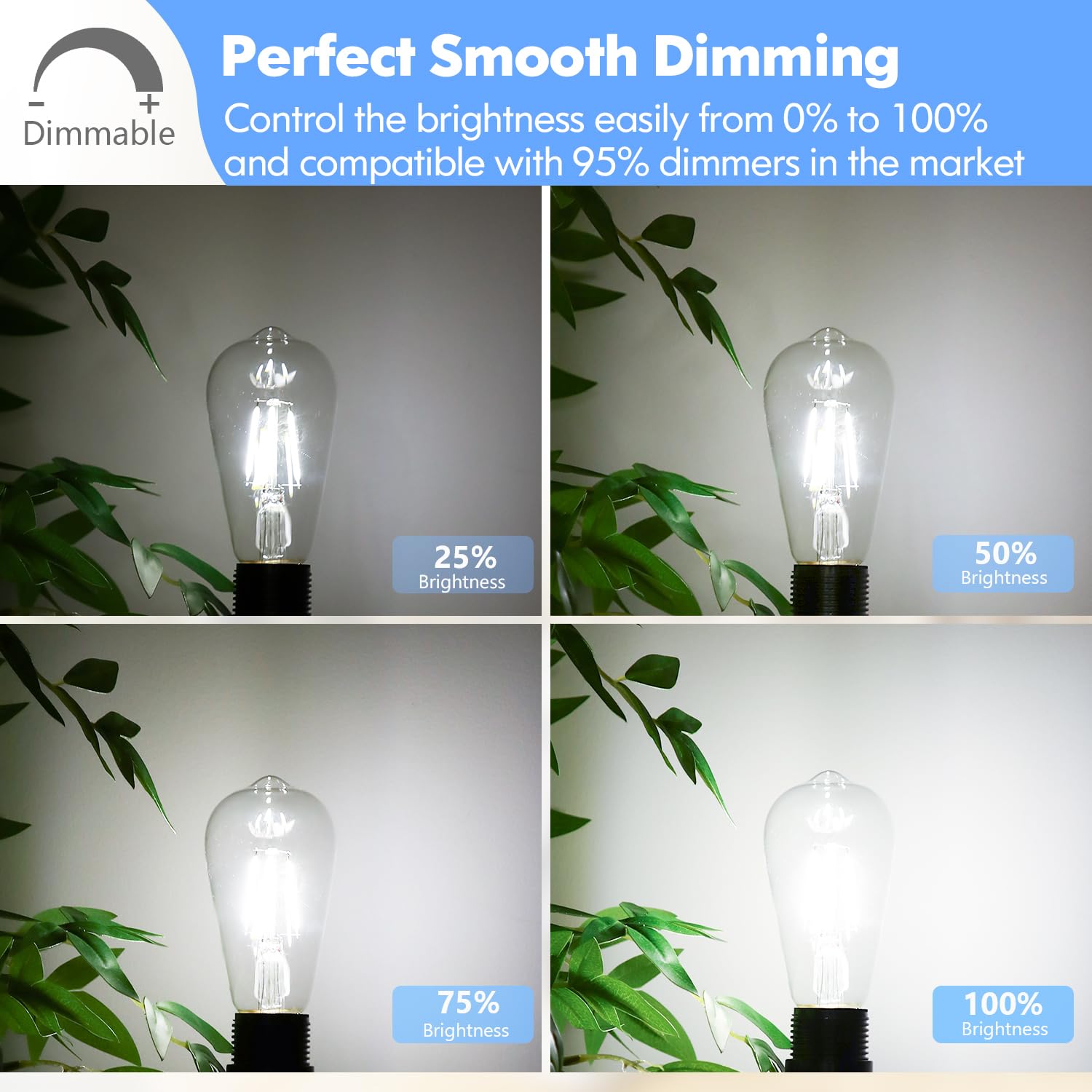 Dimmable St58 Antique Clear Vintage Edison Led Light Bulbs, 5000K Daylight, E26 Medium Base, 4W (40W Equivalent), Cri90+ High Br