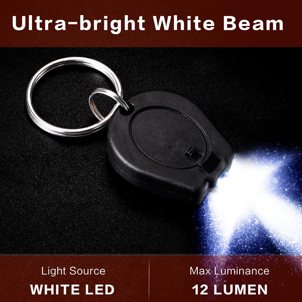RaySoar 12 Pack Mini LED Keychain Flashlight, Portable Plastic Light, White Light, Model keychain-White-light-BK-12PC-TLP-01