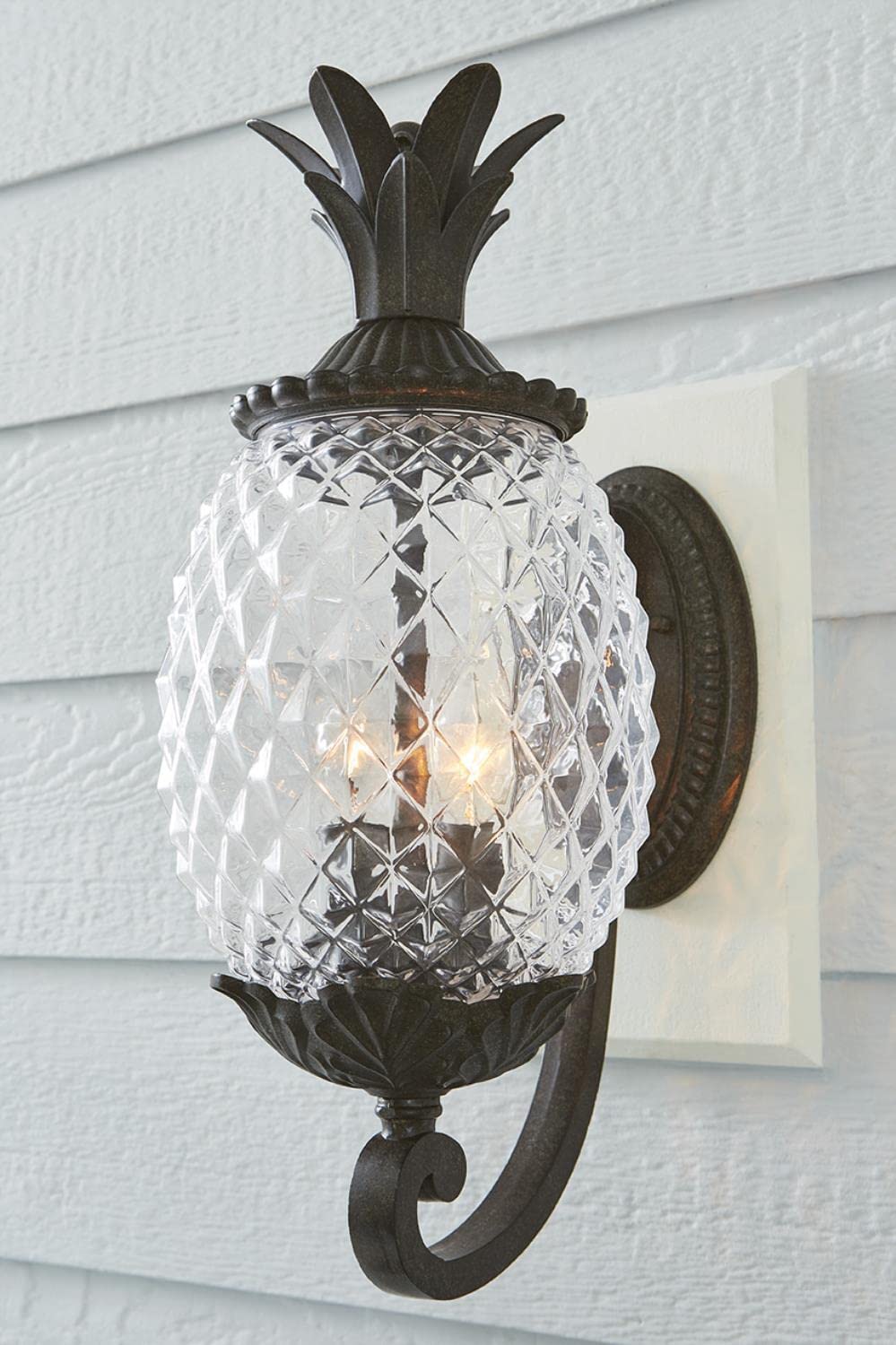 Acclaim 7501Bc Lanai Collection 2-Light Wall Mount Outdoor Light Fixture, Black Coral