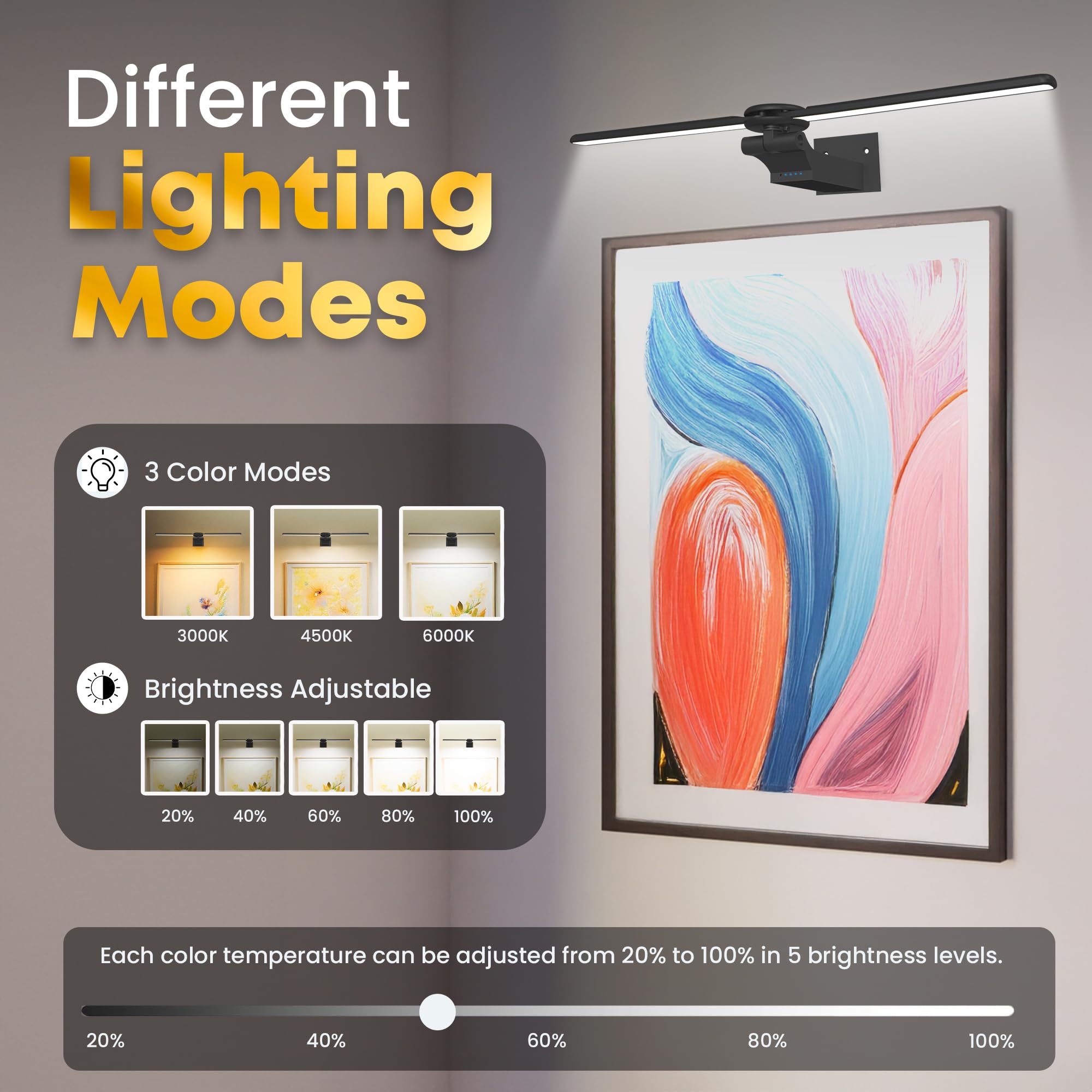 doublacy 2 Pack Picture Light for Wall, 18in Rechargeable, Dimmable, Remote Control, Black, Model AA-3