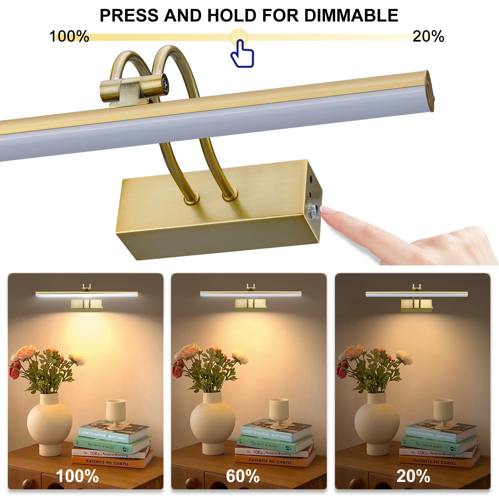 RAIFOOLLY Picture Lights for Wall,Battery Painting Light with Remote Dimmable and Timer, 2 Lighting Modes Art Display Light, Wal