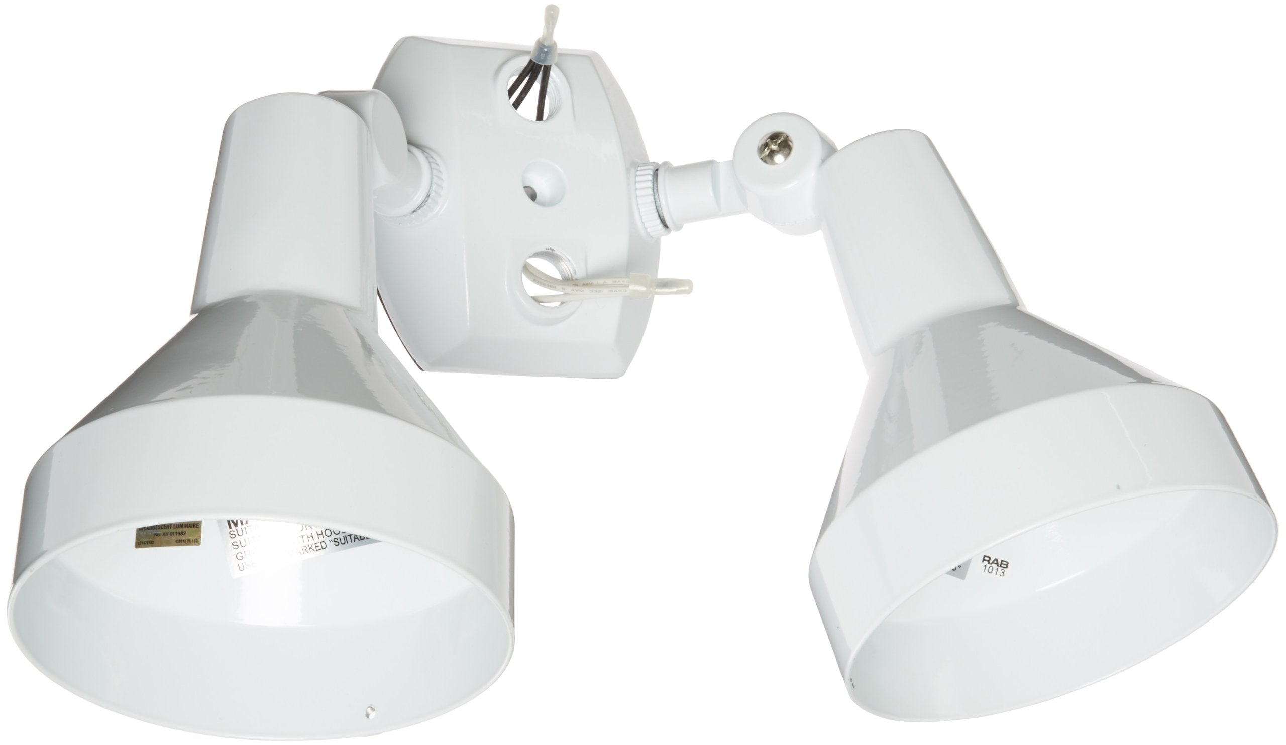 RAB Lighting H2W Dual Floodlight Kit, PAR38, Aluminum, 300W, Multicolor