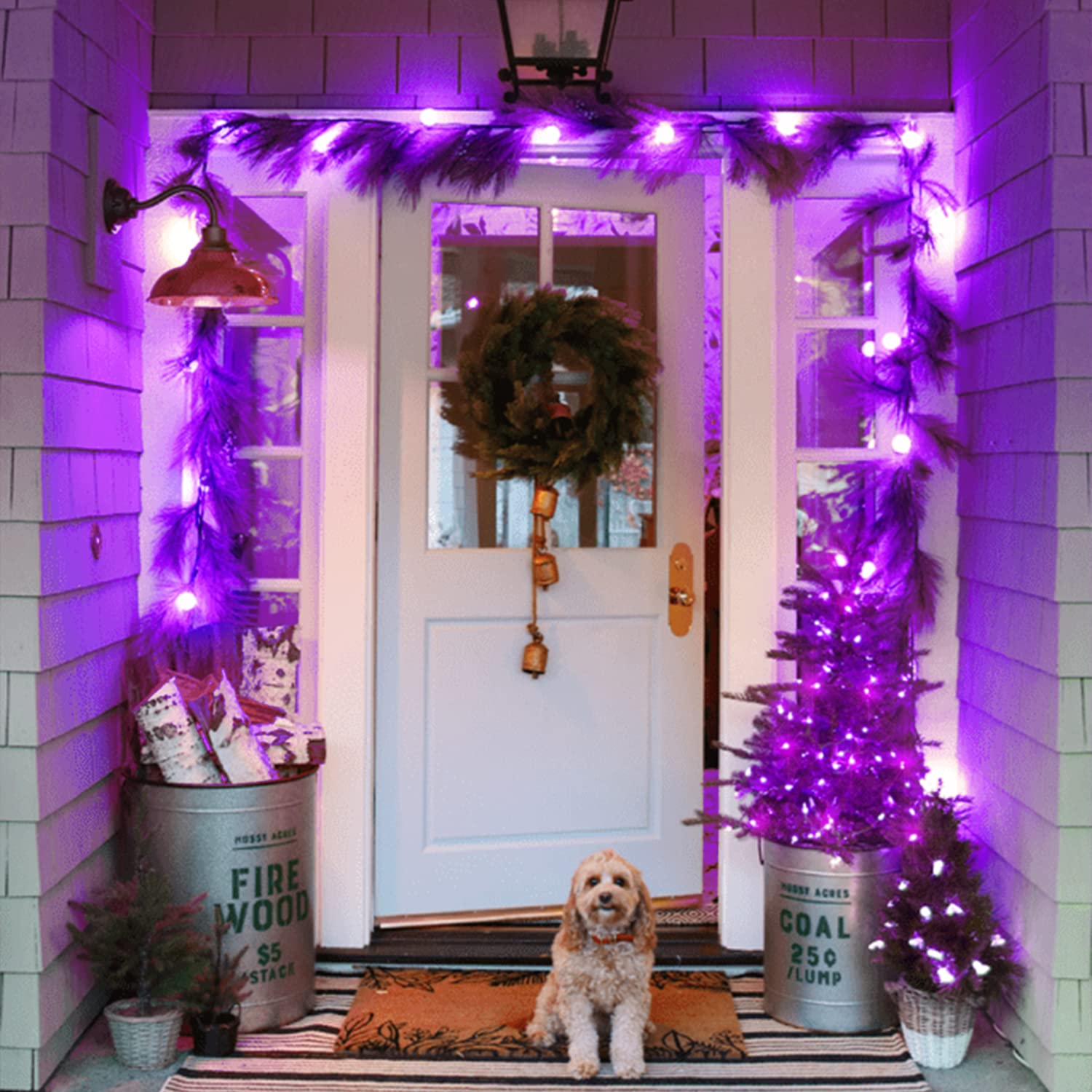 Jmexsuss 100 Led Purple Christmas Lights, 8 Modes Purple String Lights Indoor, 33Ft Christmas String Lights Outdoor Waterproof F