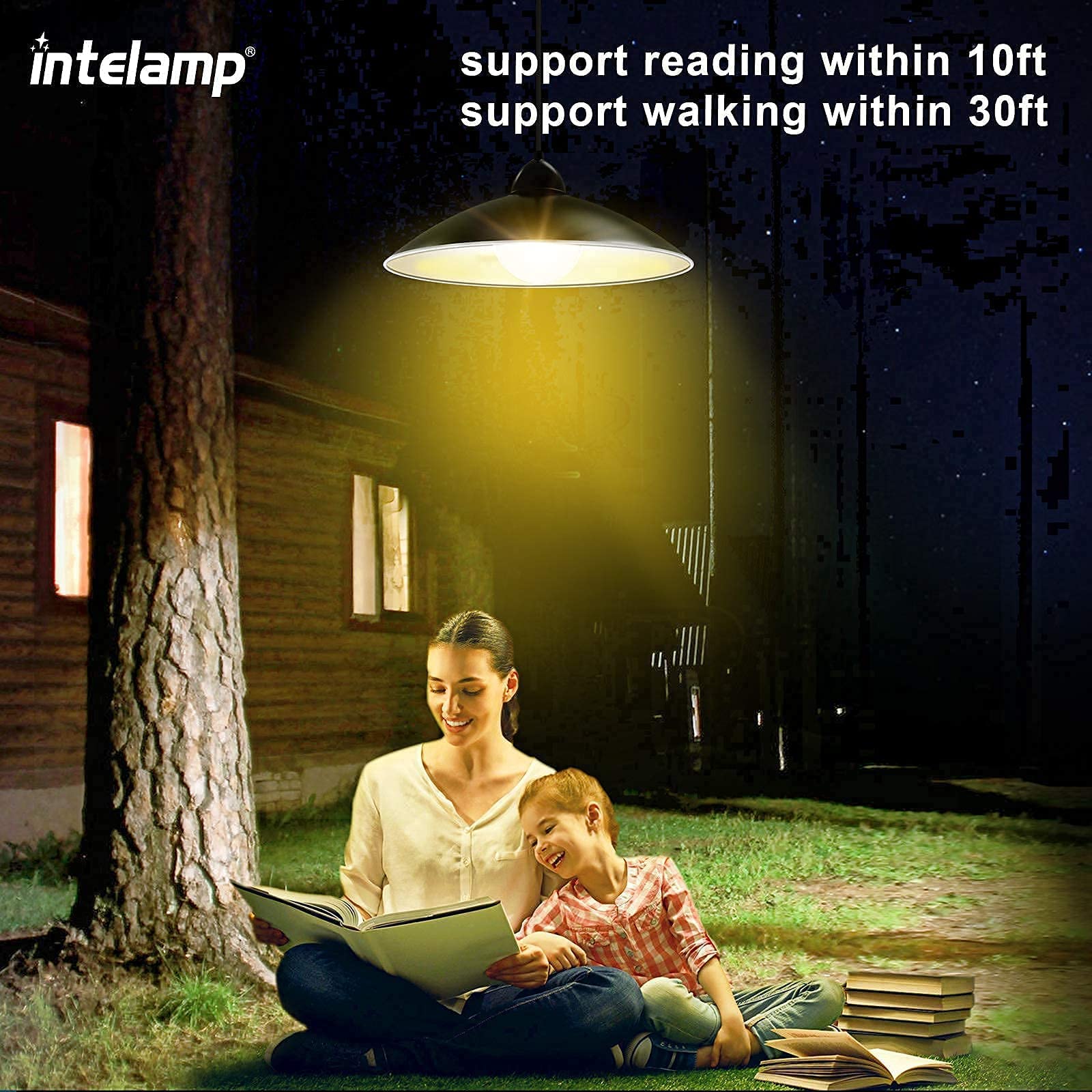 intelamp Solar Pendant Lights - Remote Control, Solar-Powered, Stainless Steel, Black, 1 Pack, Model TGD002-JP for Indoor & Outdoor Use