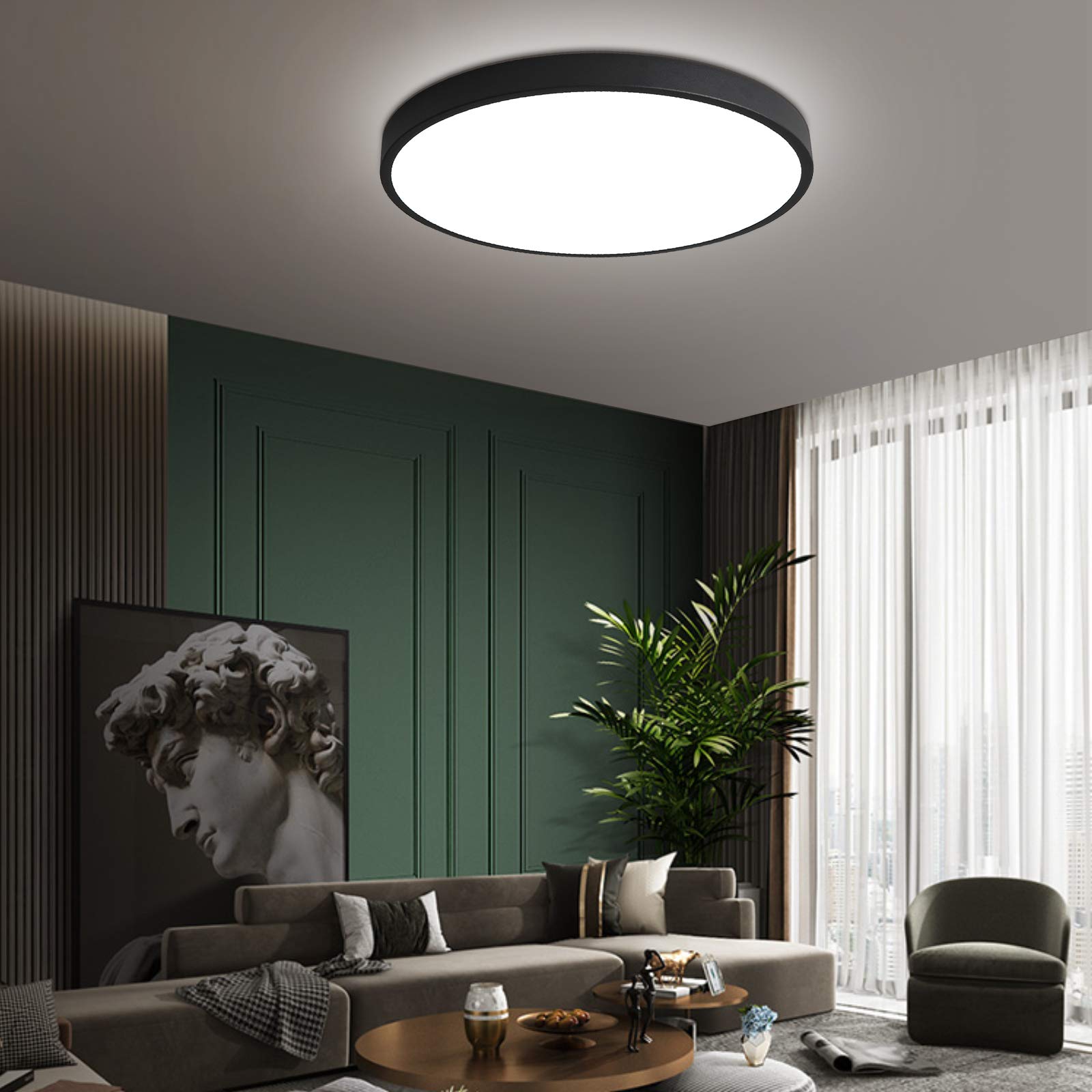 Hovenla 15.8 Inch Led Flush Mount Ceiling Light 2Pack, 30W Black Kitchen Ceiling Light Fixtures (200W Equi) 2400Lm, 5000K Daylight Round Light Fixture Ceiling Mount For Hallway, Bedrooms, Not-Dimmable