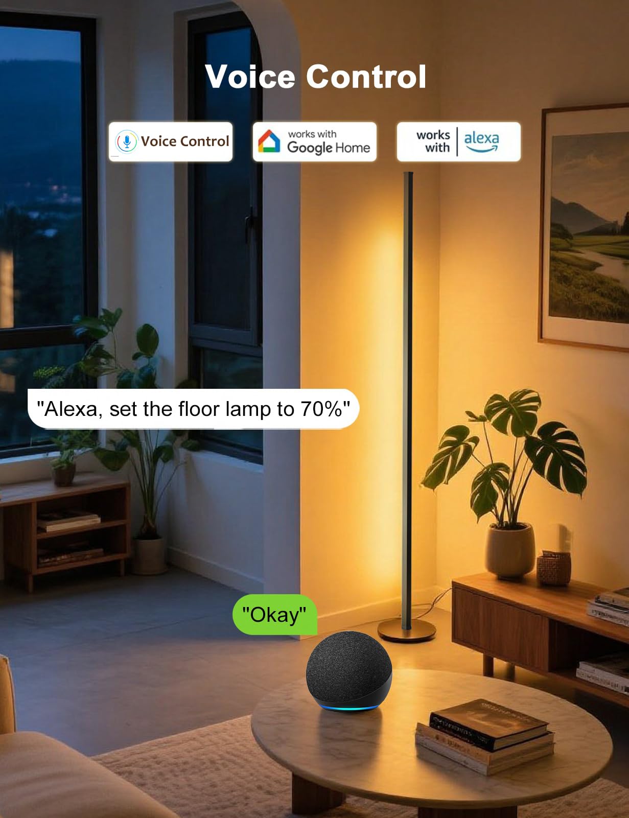 Eastfine RGB IC Smart Corner Floor Lamp, WiFi Black, Aluminum, Model DX23012-02, APP & Remote Control, Music Sync, 1 Pair