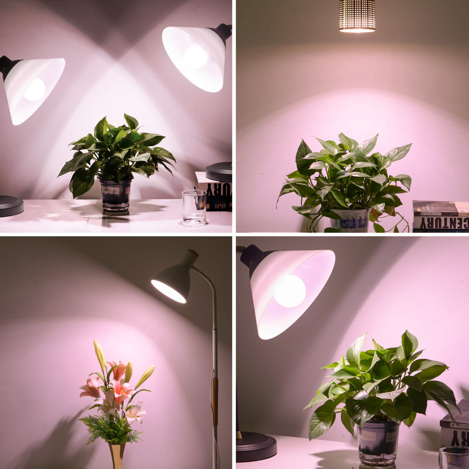 Necgemlex 4 Pack A70/A21 Grow Light Bulb, E26 110V 7W Full Spectrum LED Plant Light Bulb for Indoor Plants, Flowers, Greenhouse,