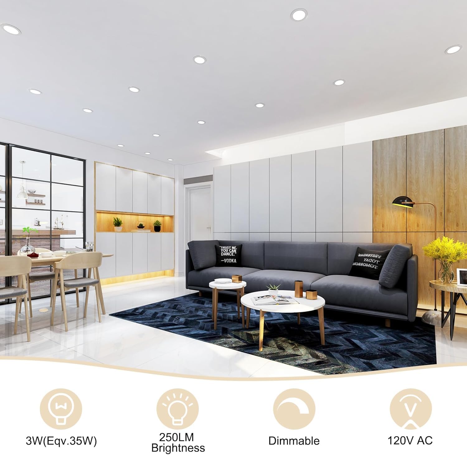 YGS-Tech 2 Inch LED Recessed Lighting, Dimmable, 3W (35W Halogen Equivalent), 5000K Daylight White, 16 Pack, Plastic