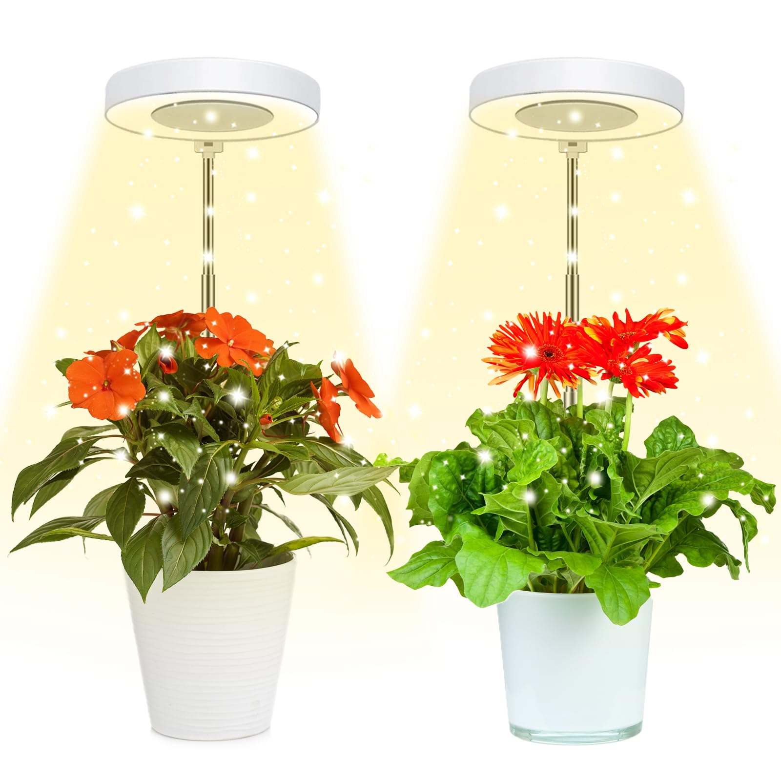 Juhefa Grow Light for Indoor Plants Growing, 4000K Full Spectrum Halo Plant Lamp for Seedlings Succulents Small Mini Plants, 3 C