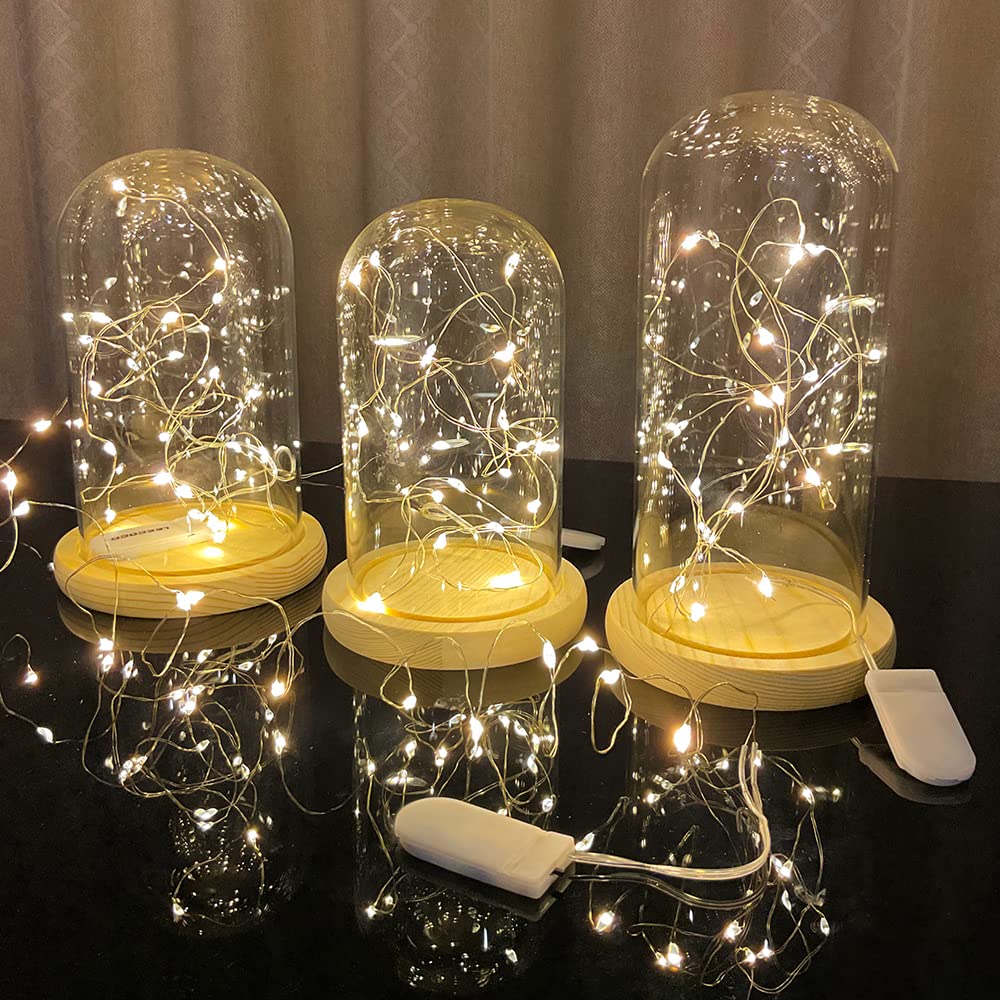 Etinga 10 Pack Fairy Lights Battery Operated String Lights, 10 Led On 3.3Ft Silvery Copper Wire,For Flowers Gift Box Wedding Party Christmas Decoration (Warm White, 10 Pack)