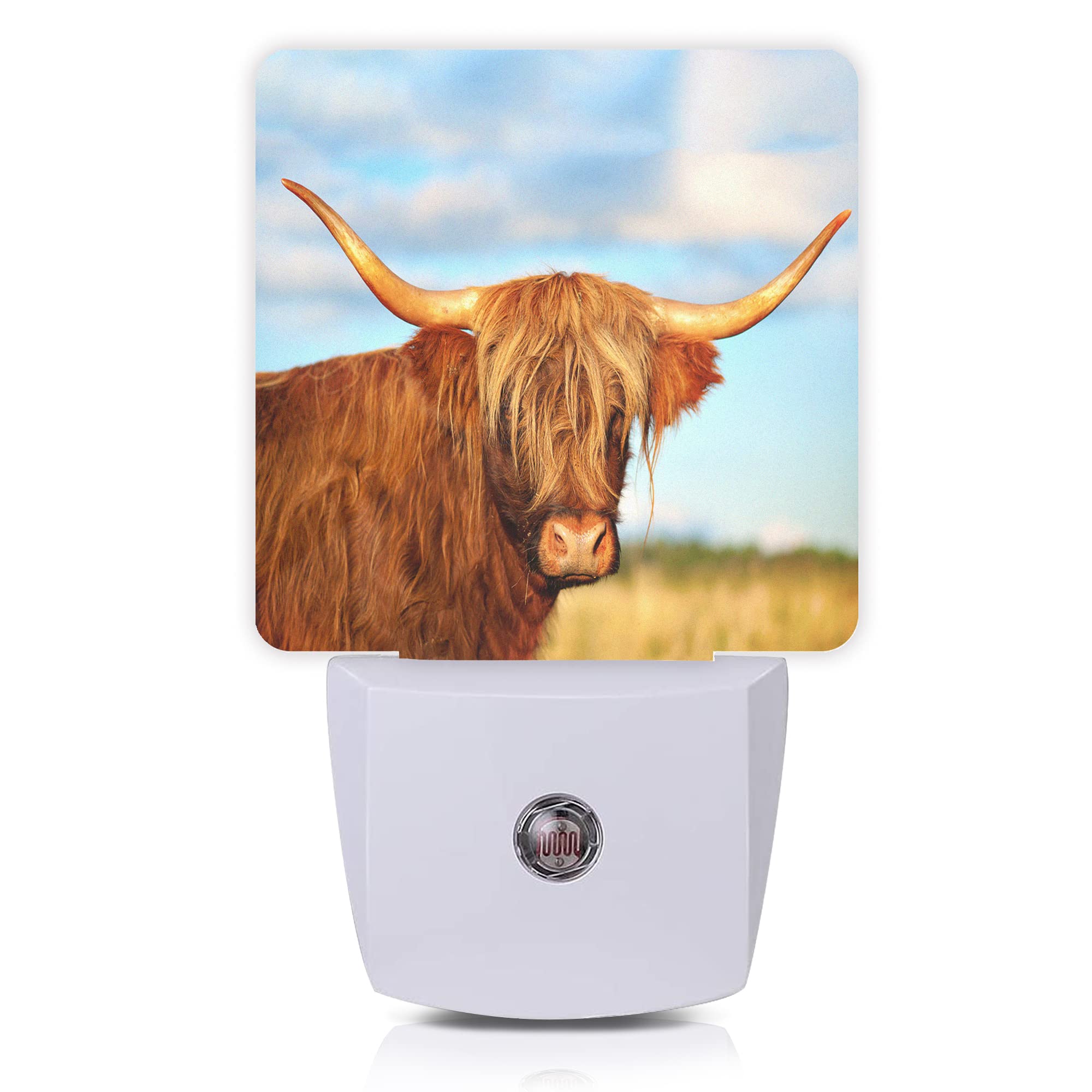 Oeaskly Highland Cow Night Light,Cows Plug-in Night Lights with Dusk-to-Dawn Sensor for Bedroom, Bathroom and Living Room 0.5W S
