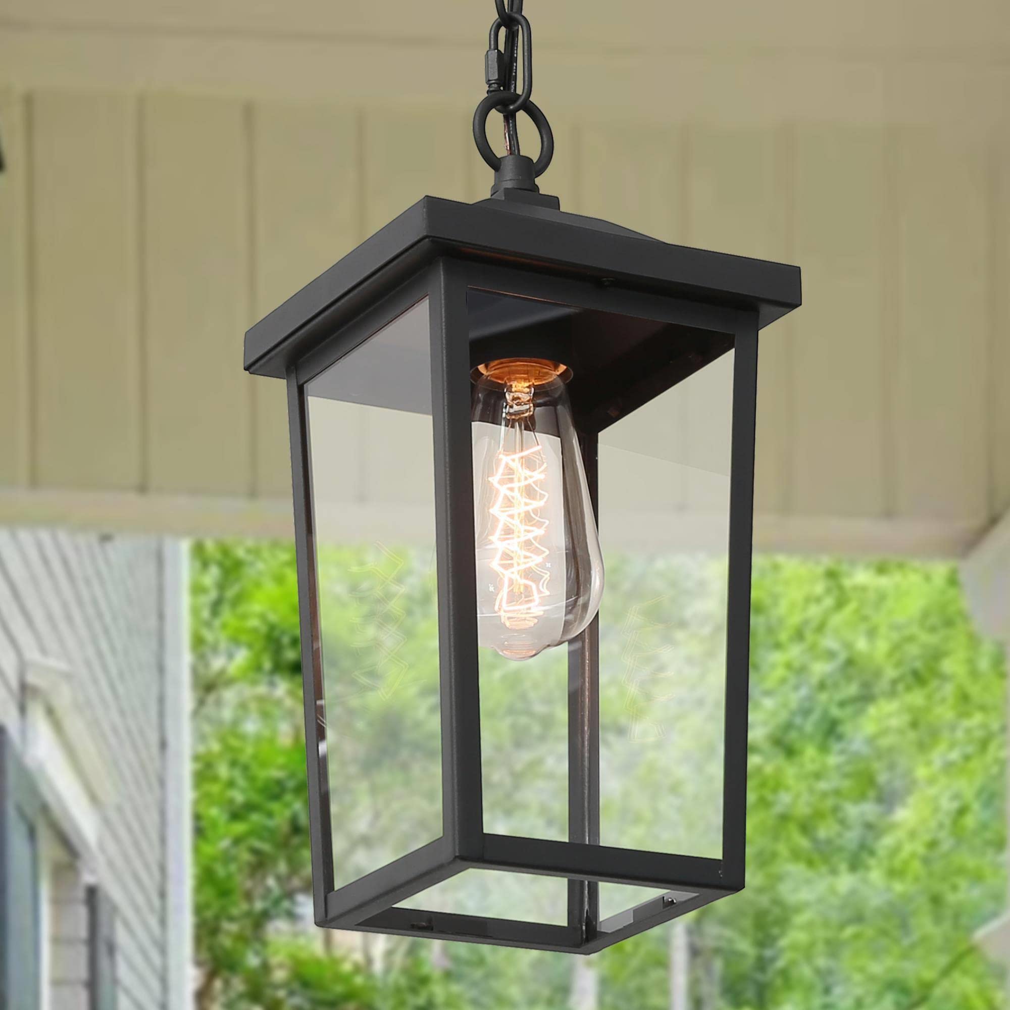 Classy Leaves Black Outdoor Pendant Light Fixture, Adjustable Chain, Clear Glass Shade